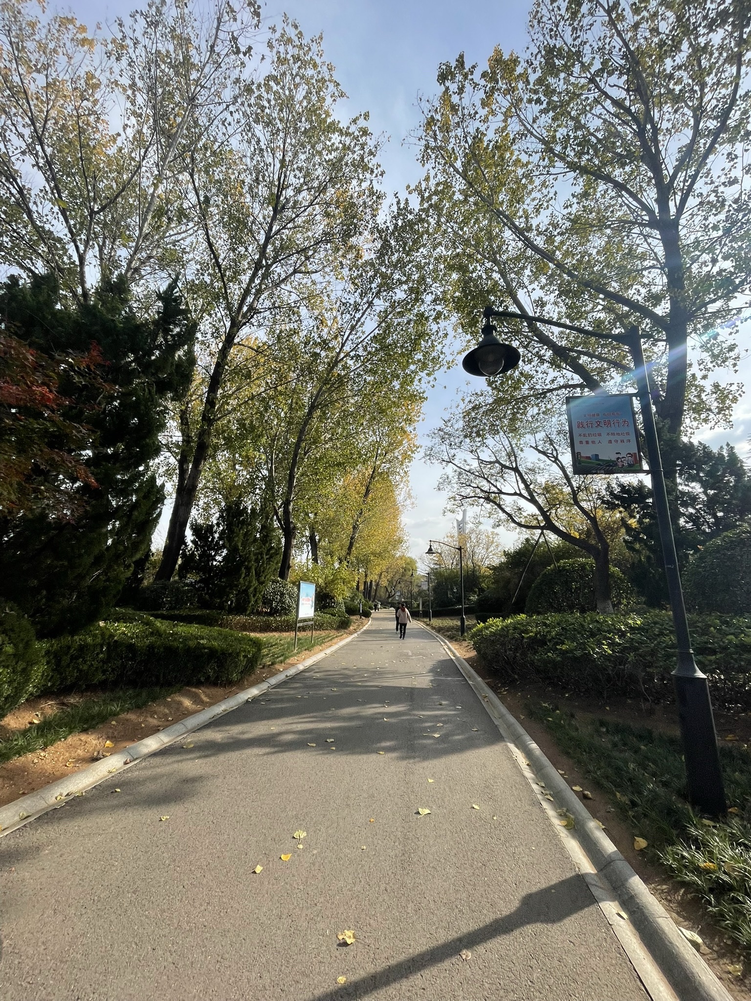 清音公园旅行图片 3