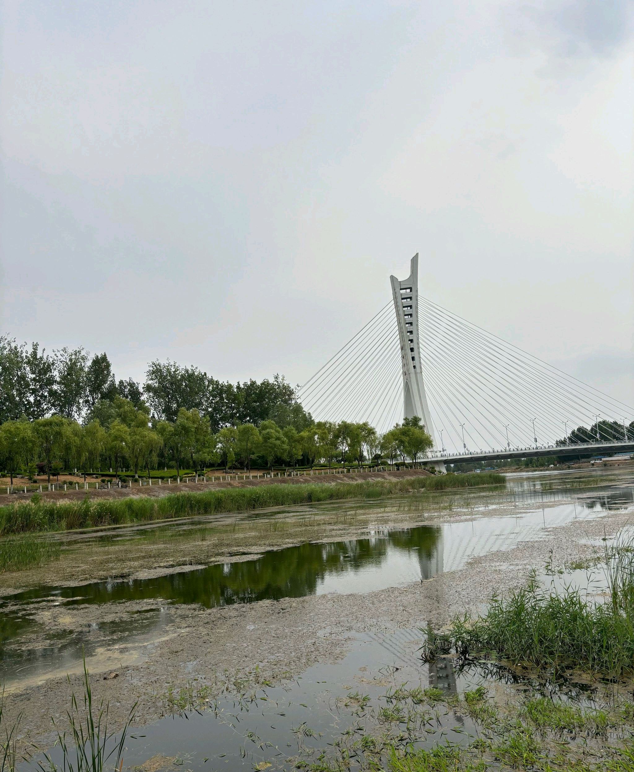 清音公园旅行图片 1