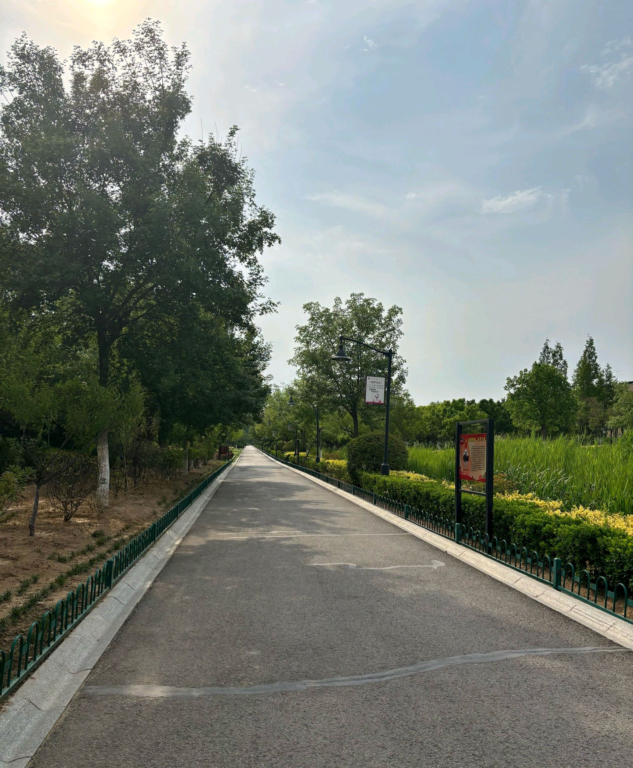 清音公园旅行图片 2
