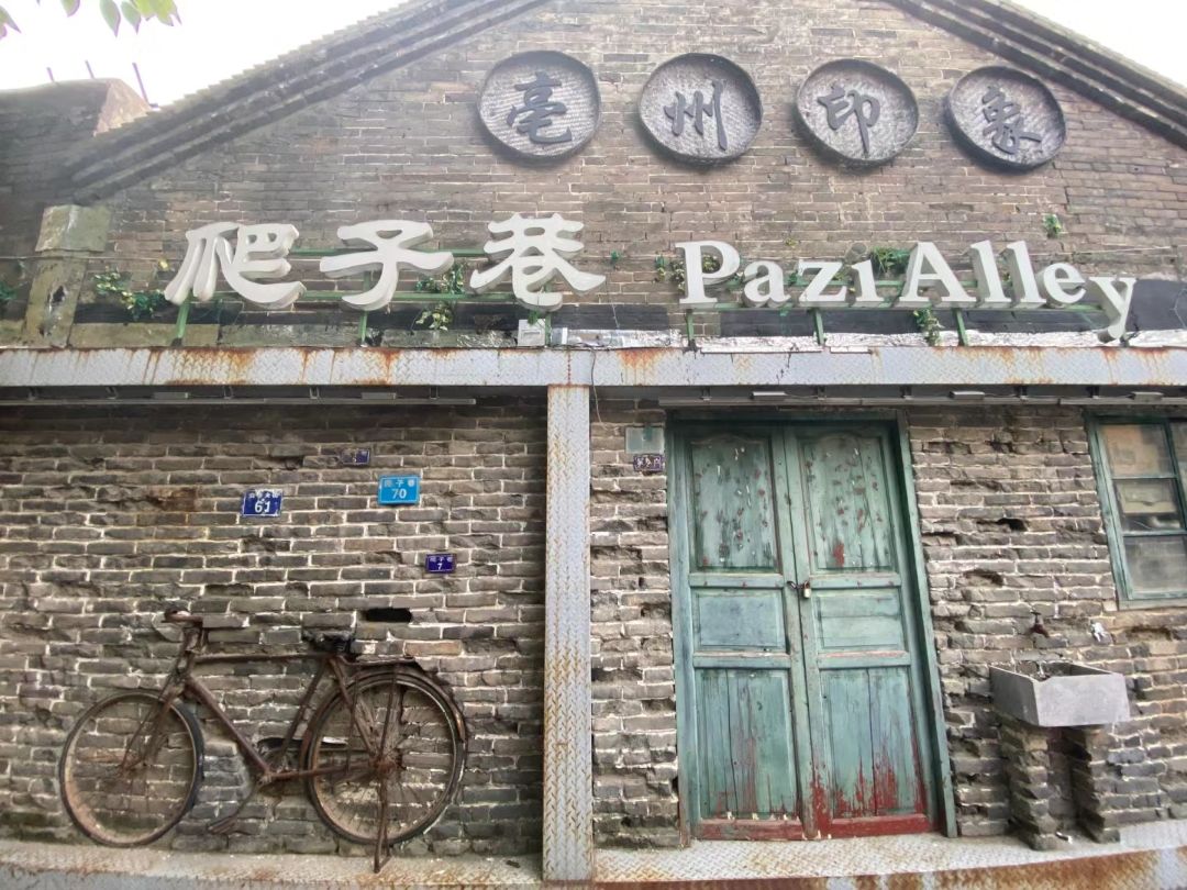 老子故里安徽涡阳老子牛旅行图片 1