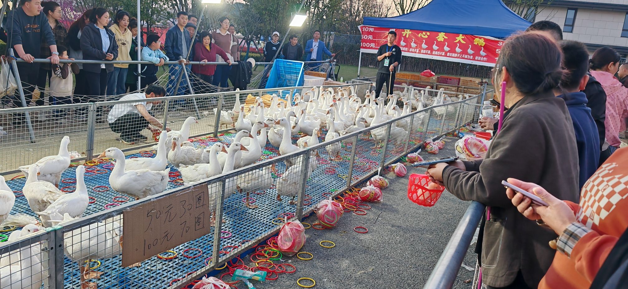 无锡市净慧寺旅行图片 3