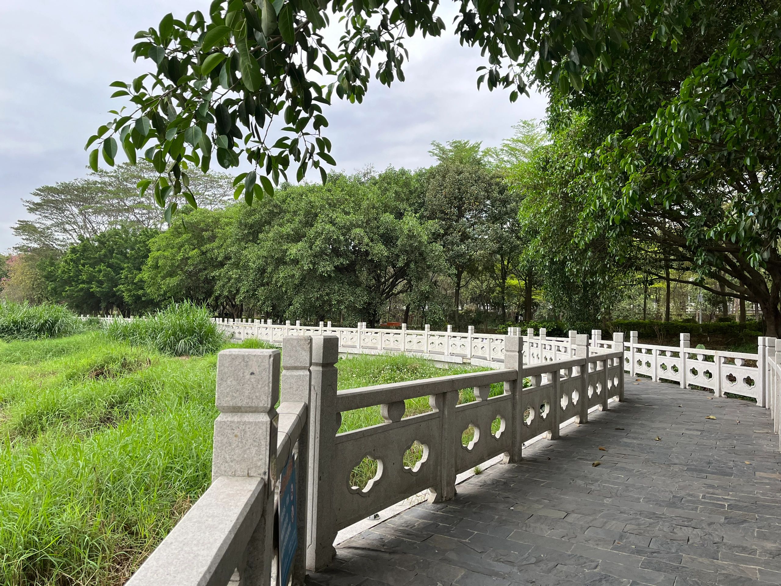 明湖公园旅行图片 1