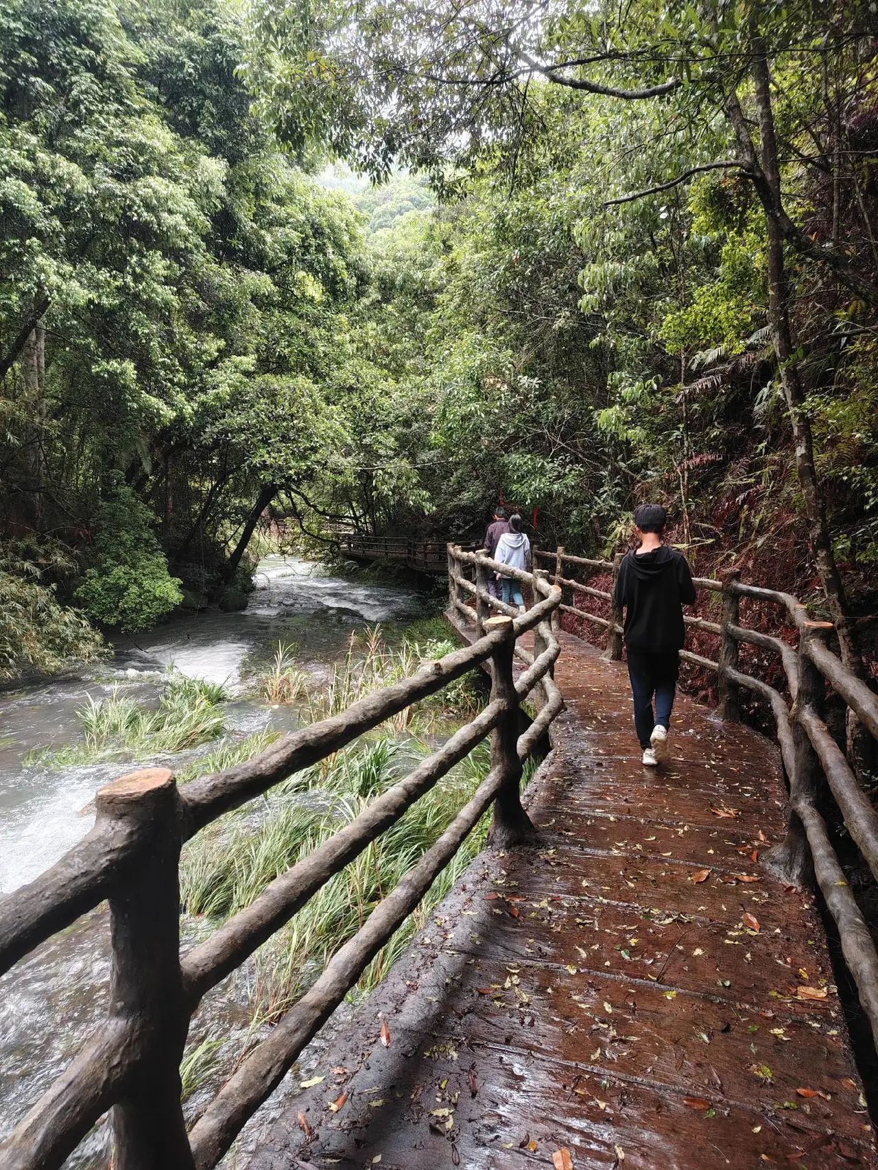 上举相思谷风景区旅行图片 3