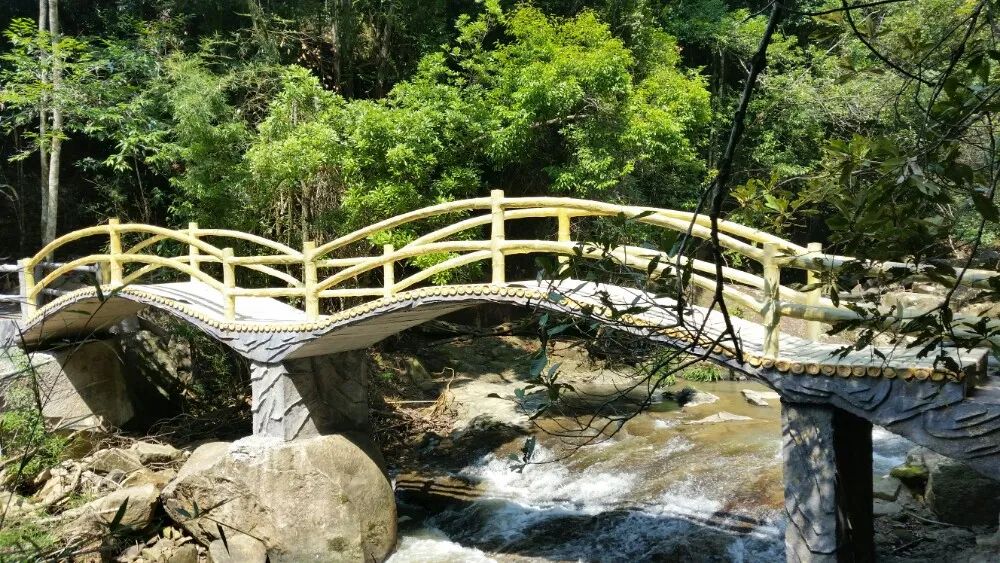 上举相思谷风景区旅行图片 1