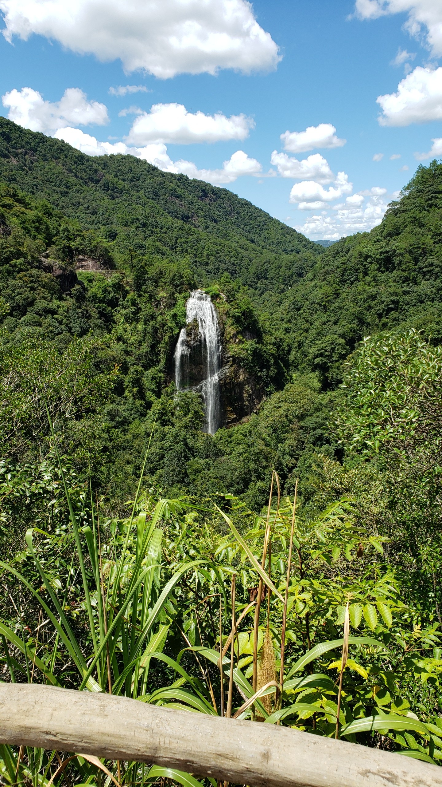 上举相思谷风景区旅行图片 3