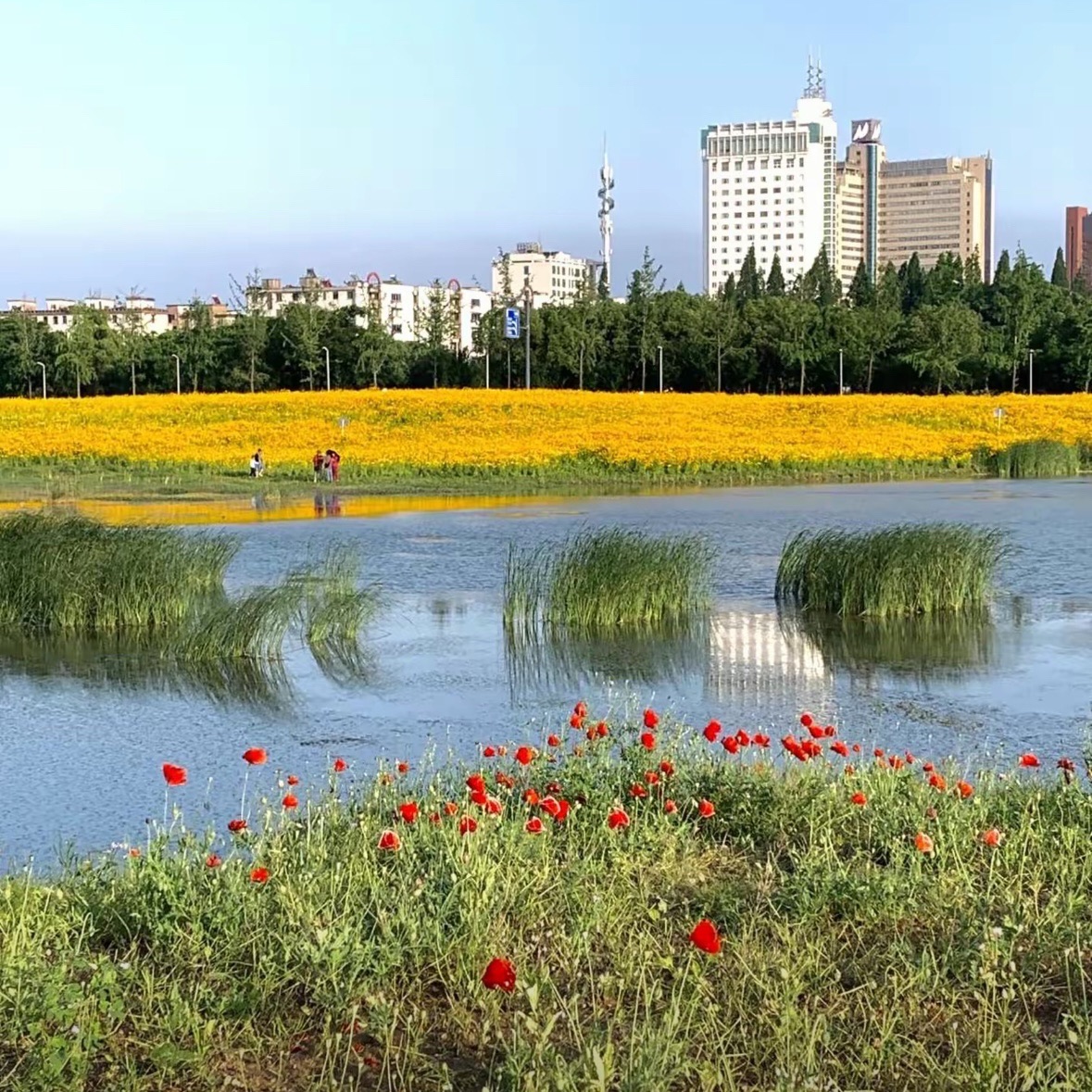 五百滩公园旅行图片 2