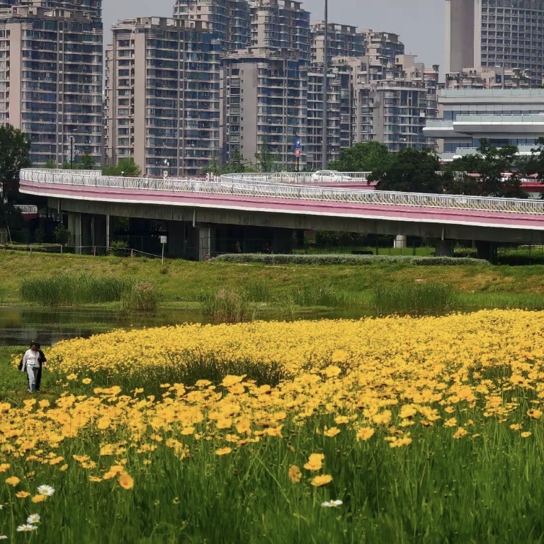 五百滩公园旅行图片 3