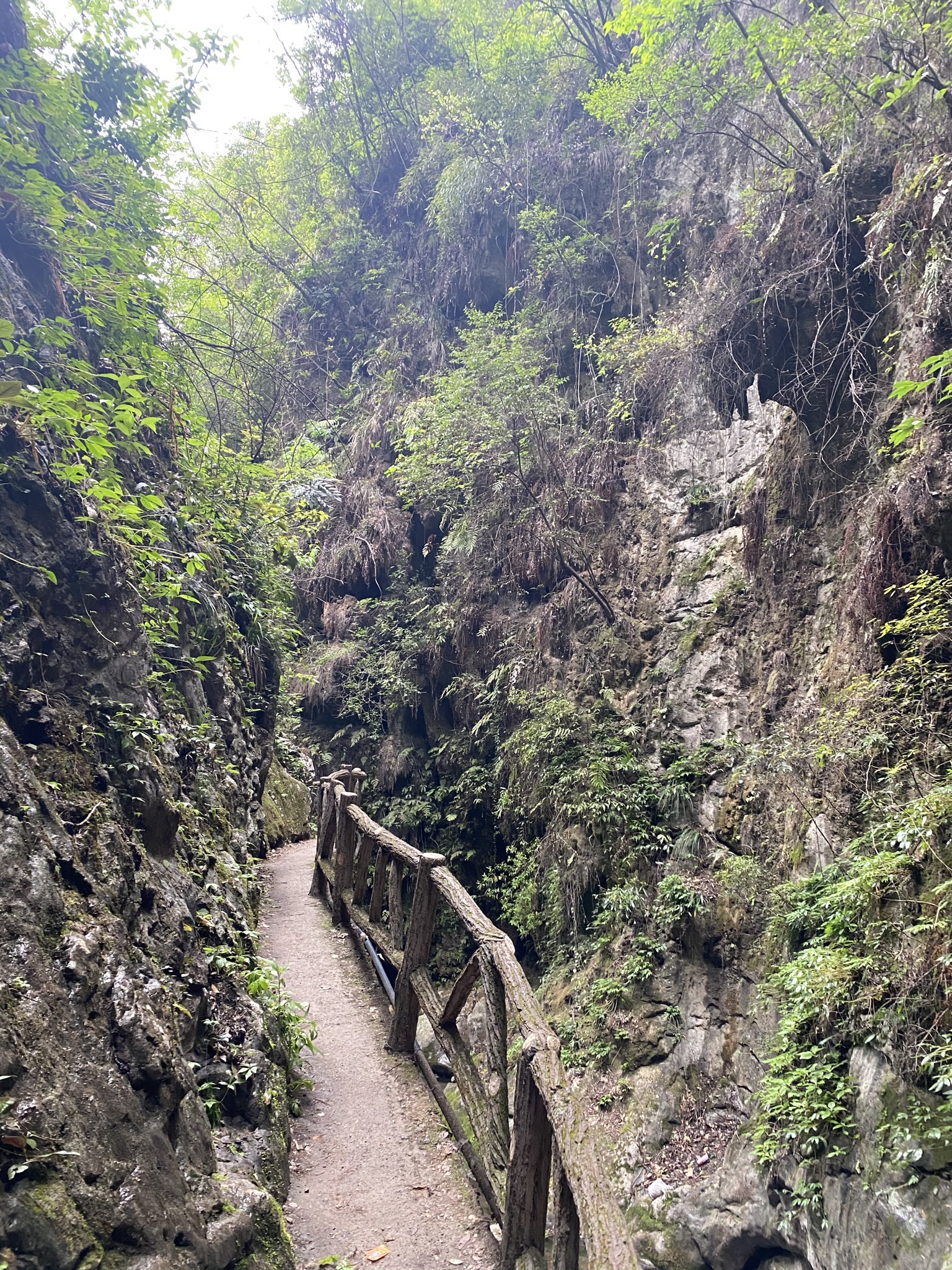 天门山鬼谷峡洞风景区旅行图片 3