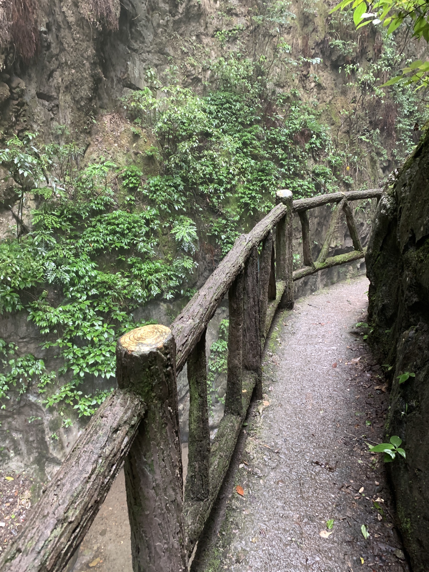 天门山鬼谷峡洞风景区旅行图片 2