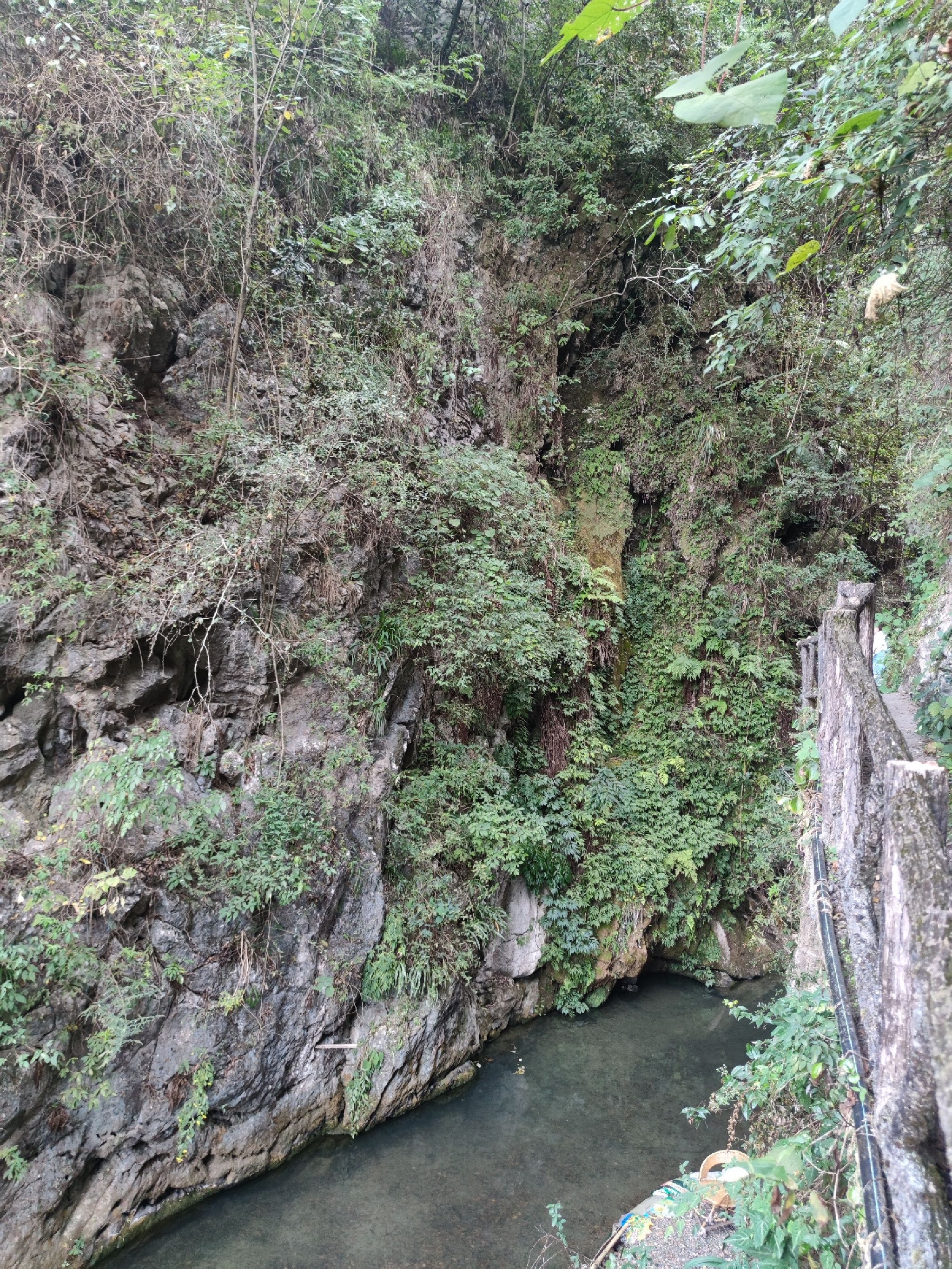 天门山鬼谷峡洞风景区旅行图片 2