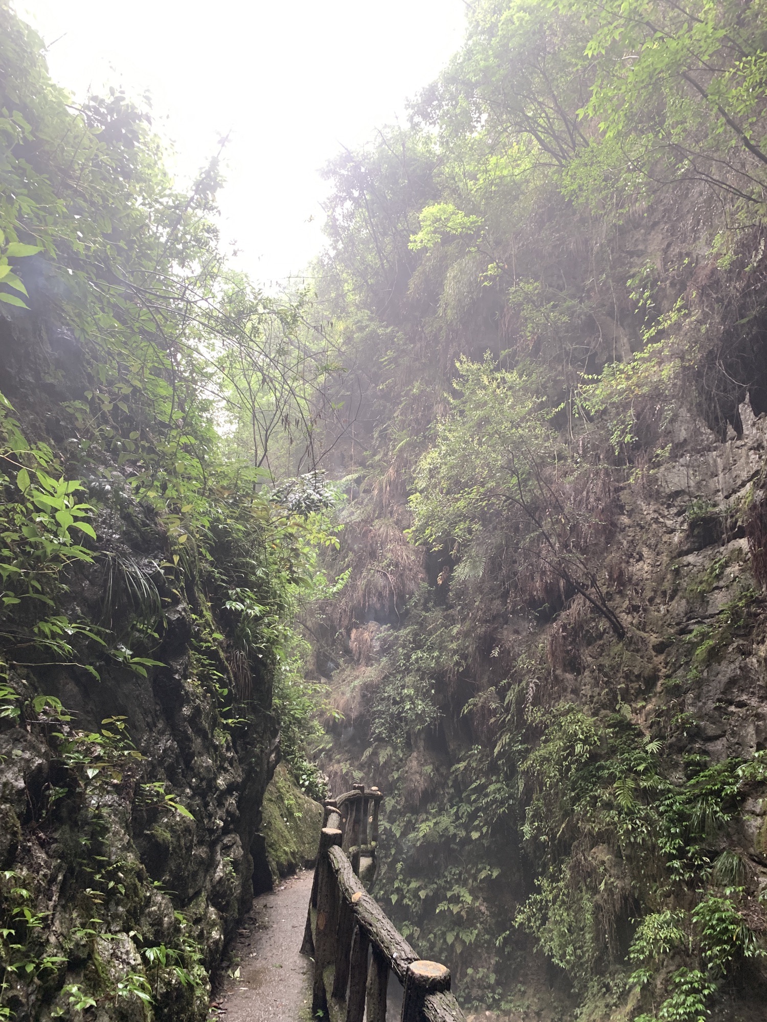 天门山鬼谷峡洞风景区旅行图片 3