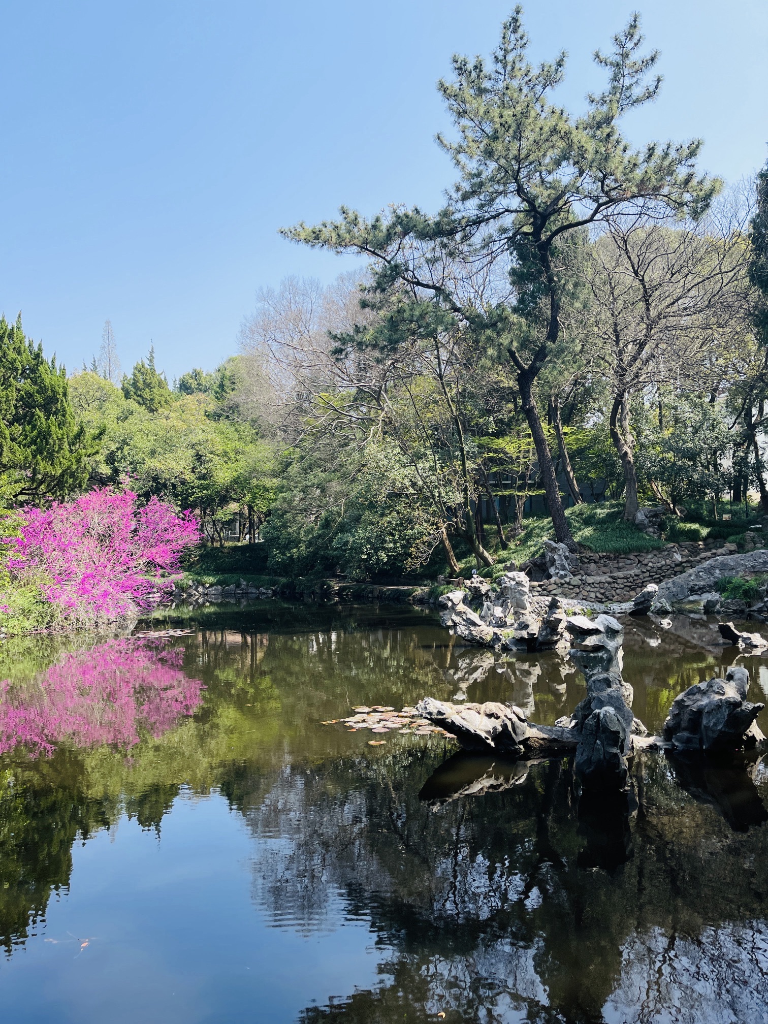 叶家花园旅行图片 1