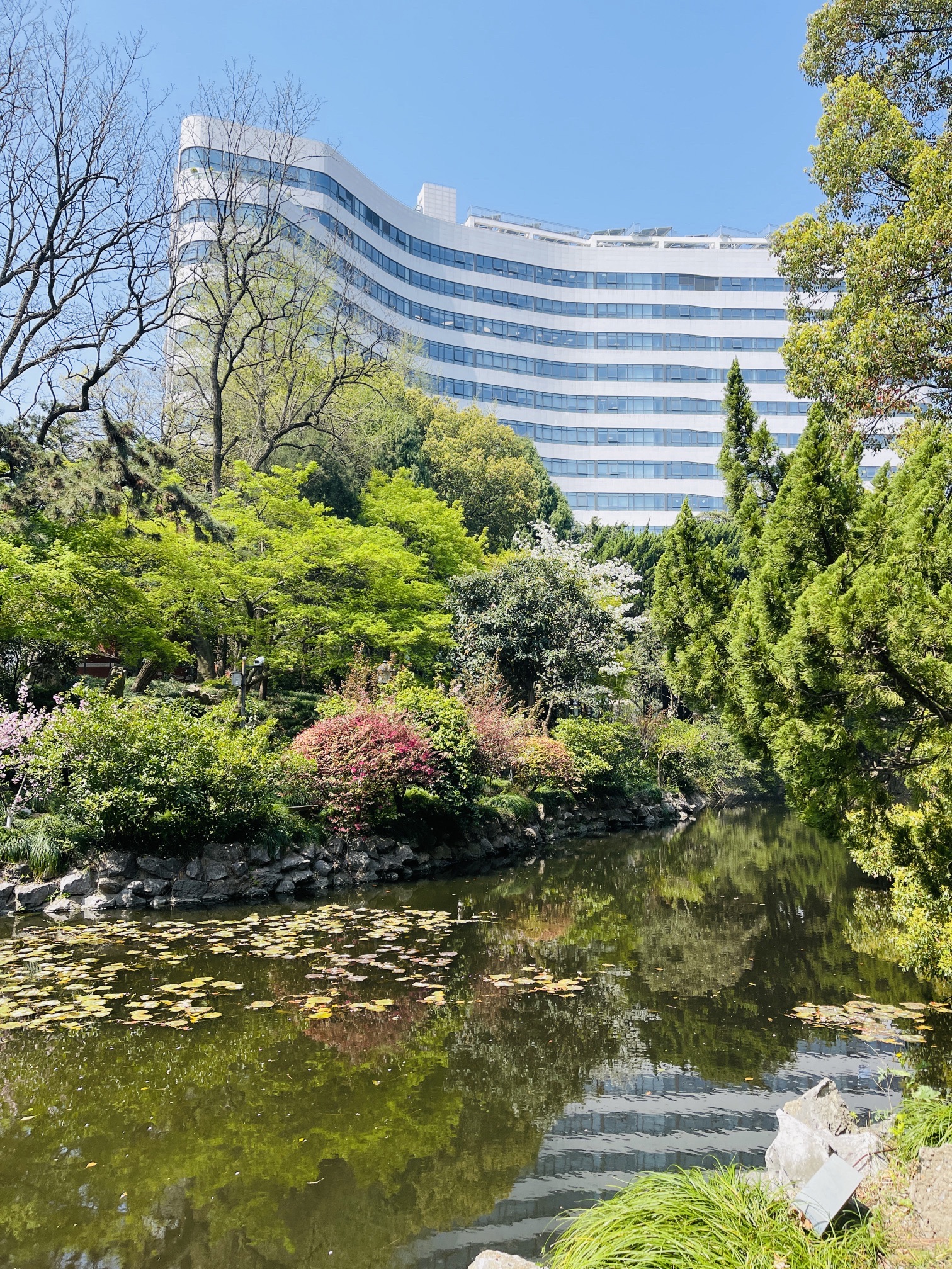 叶家花园旅行图片 2