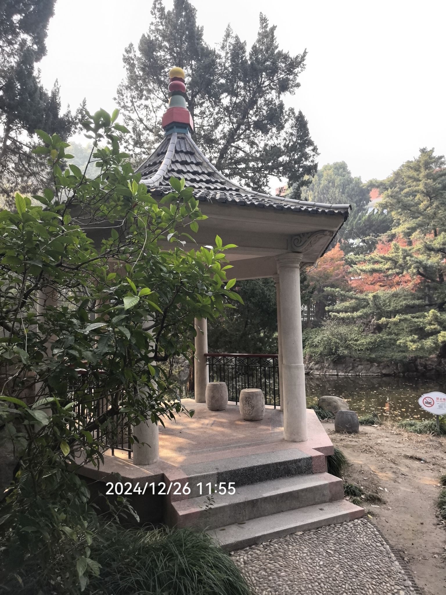 叶家花园旅行图片 3