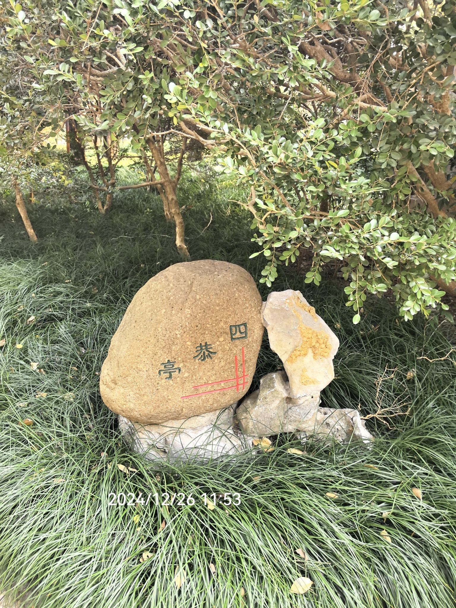 叶家花园旅行图片 2