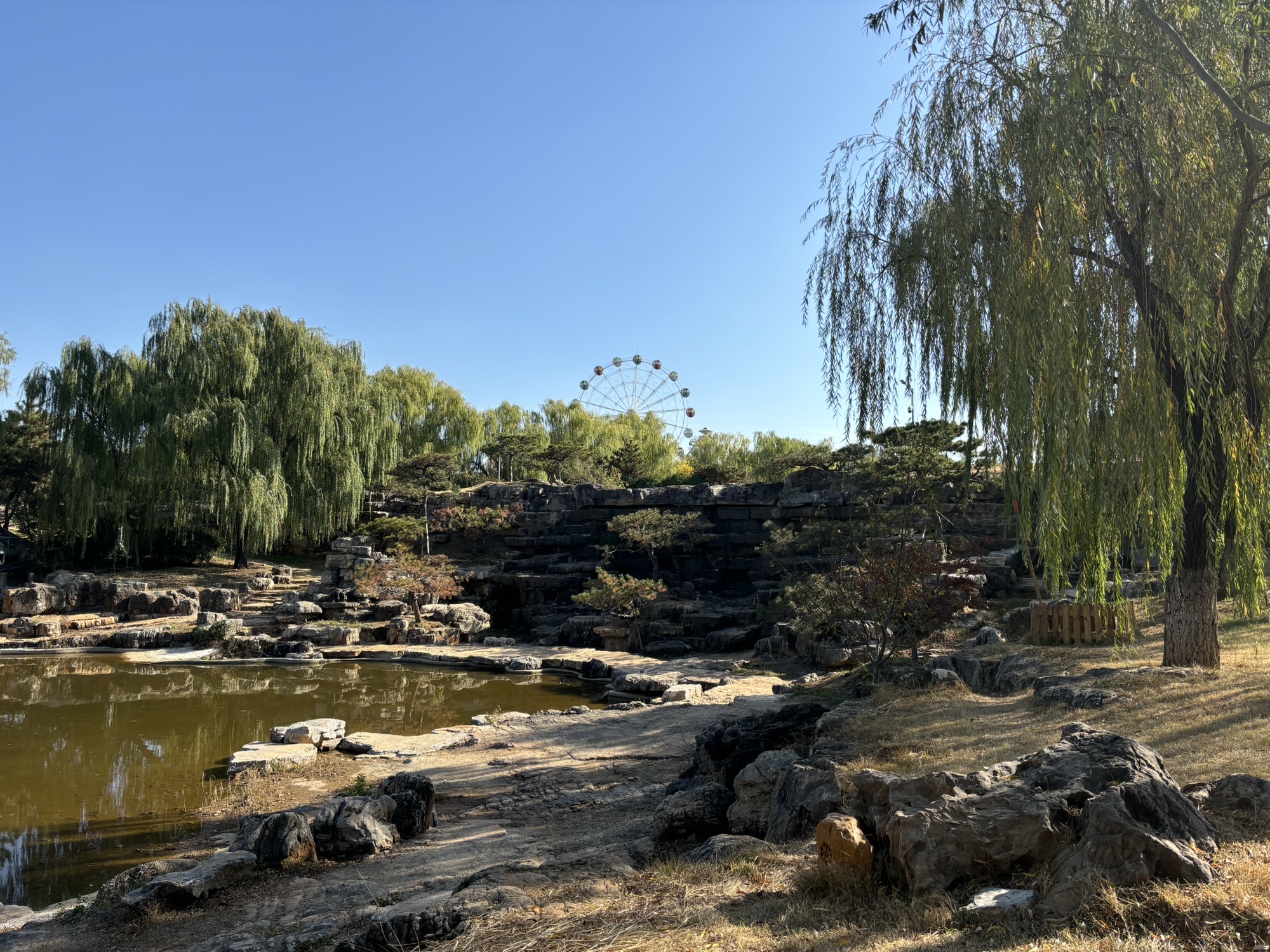 费县奇石文化公园旅行图片 3