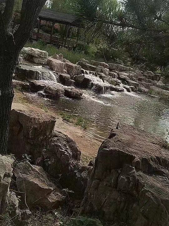 费县奇石文化公园旅行图片 1