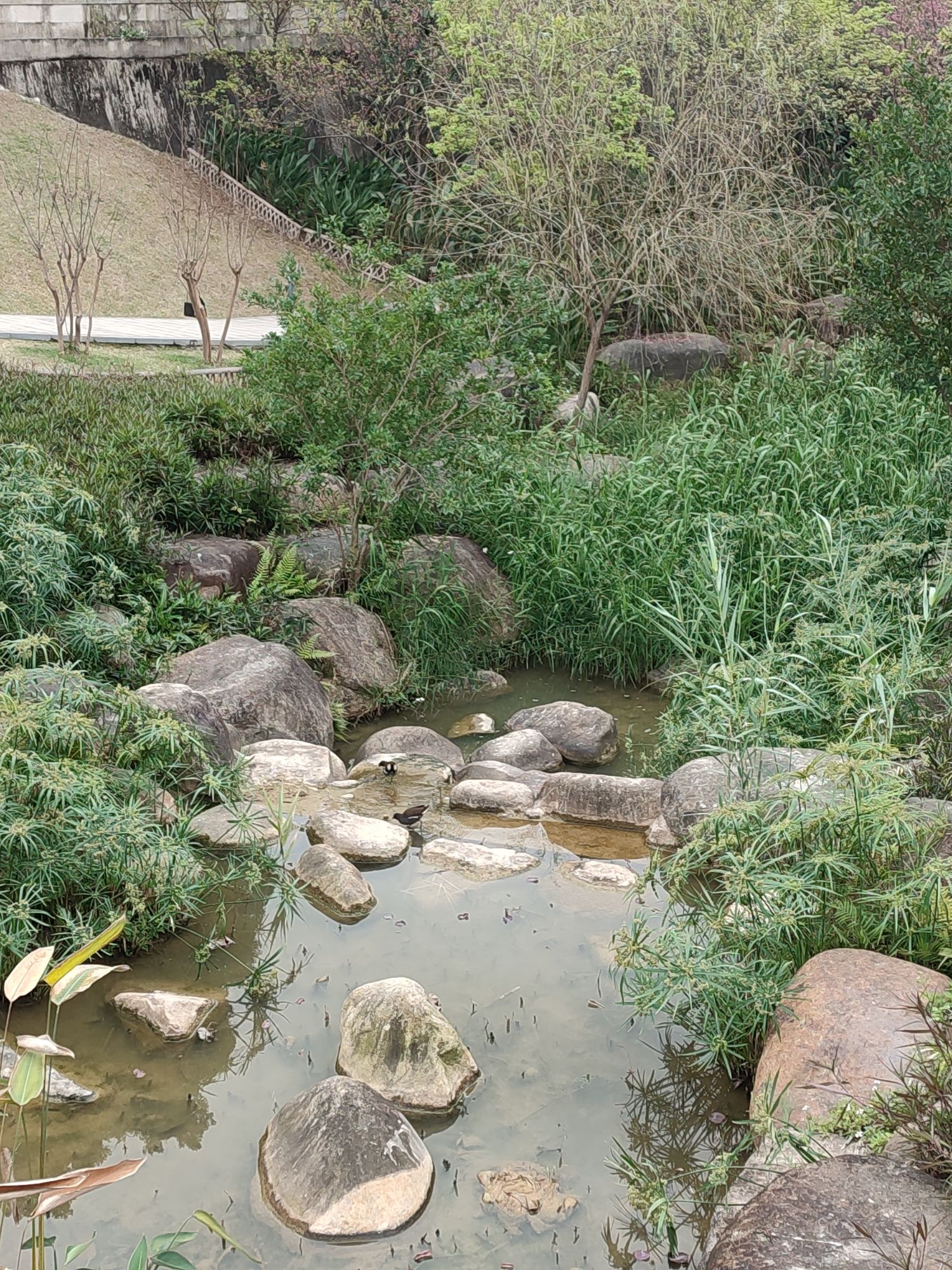 牛岗山公园旅行图片 3