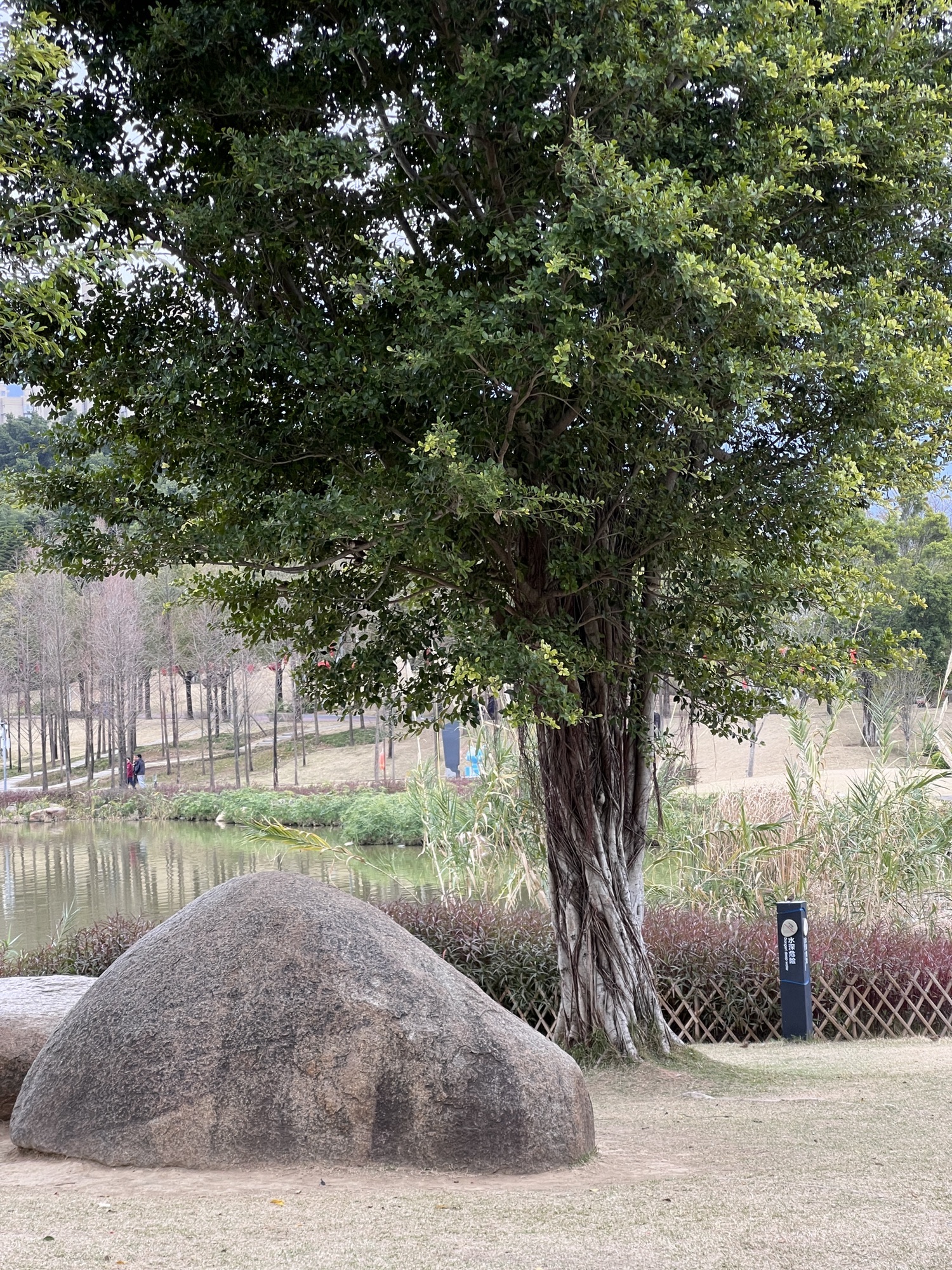 牛岗山公园旅行图片 2