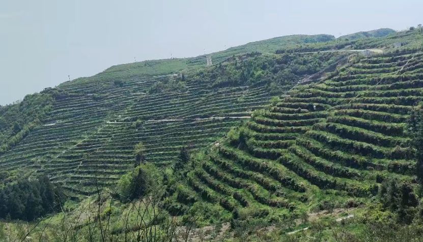 龙王十八潭旅行图片 2