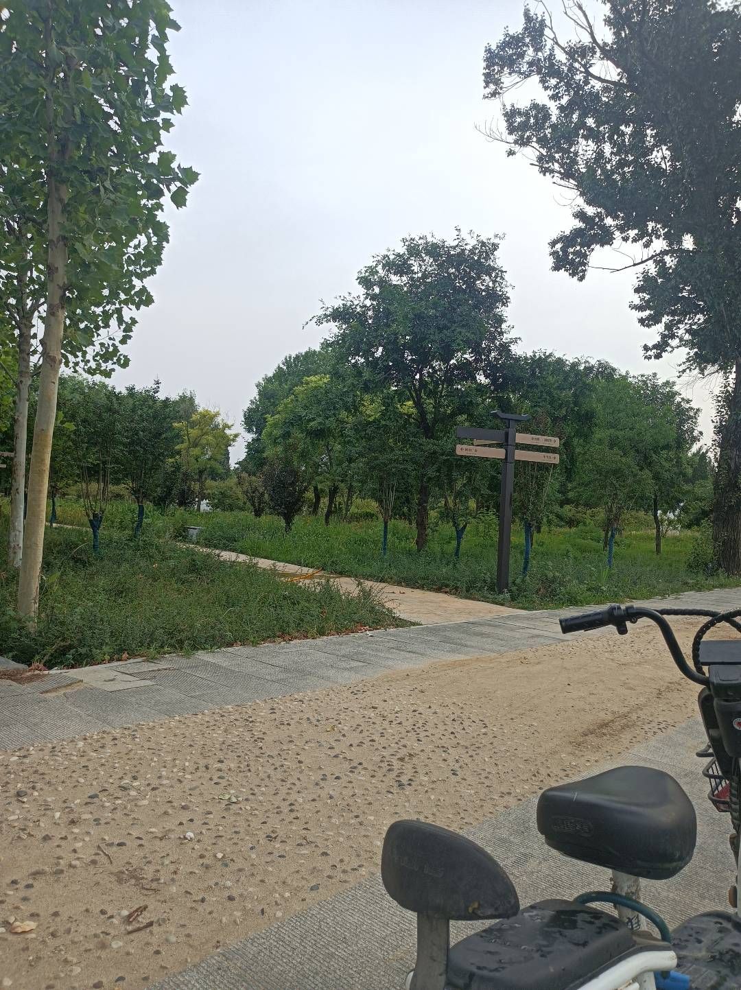 伏羲文化城(建设中)旅行图片 2