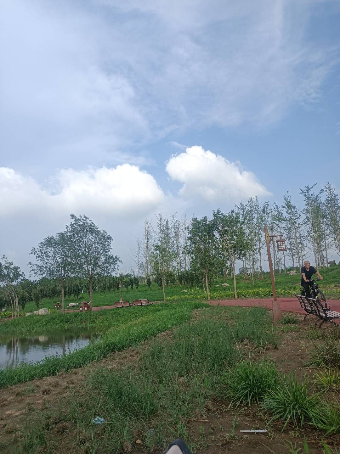 伏羲文化城(建设中)旅行图片 1