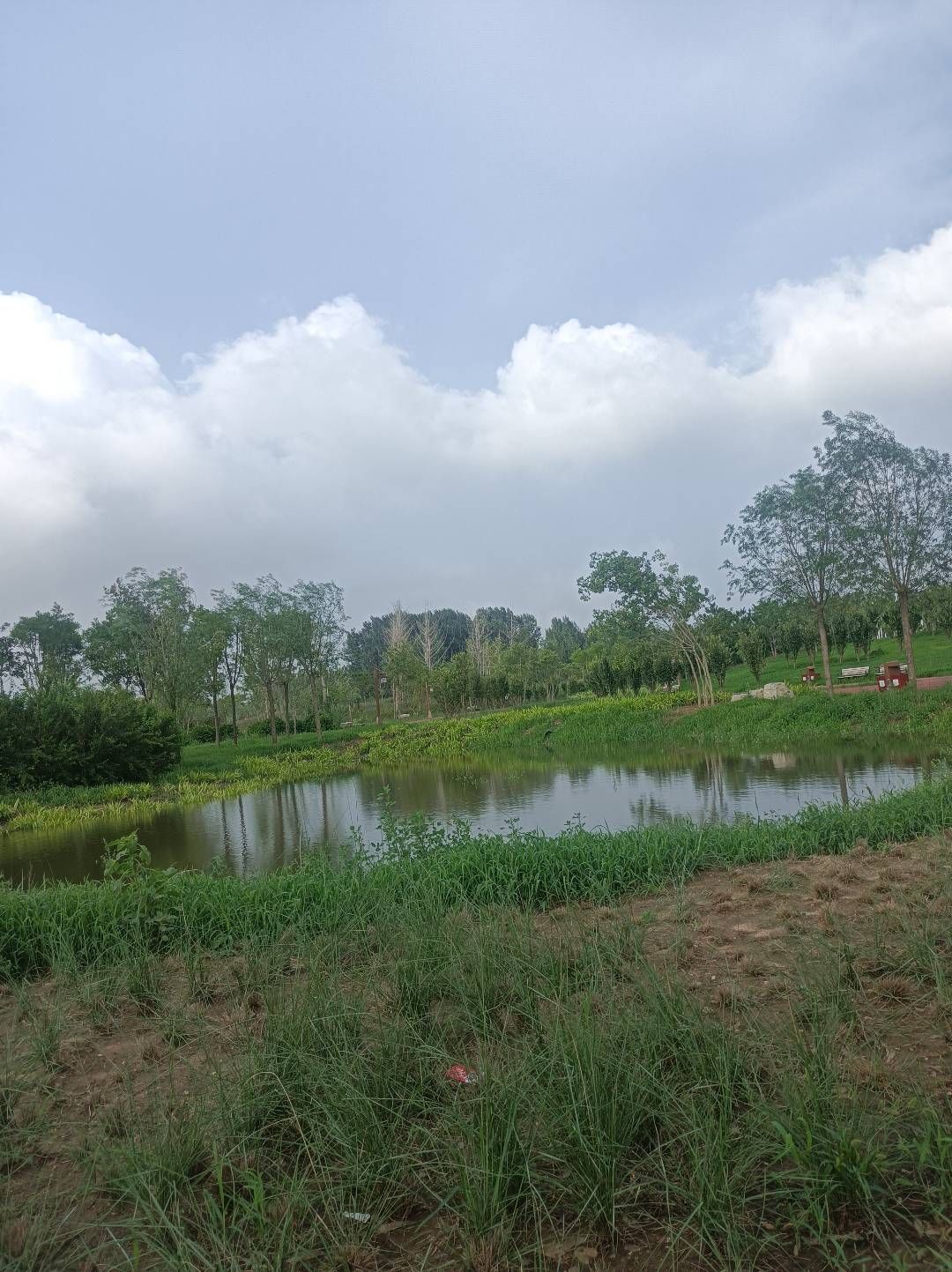 伏羲文化城(建设中)旅行图片 3