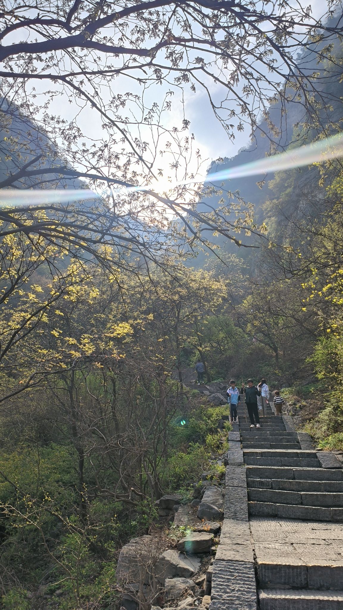 神农山风景区旅行图片 3