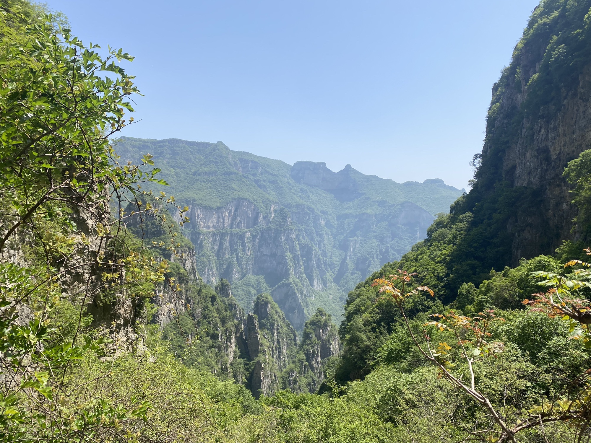 神农山风景区旅行图片 3