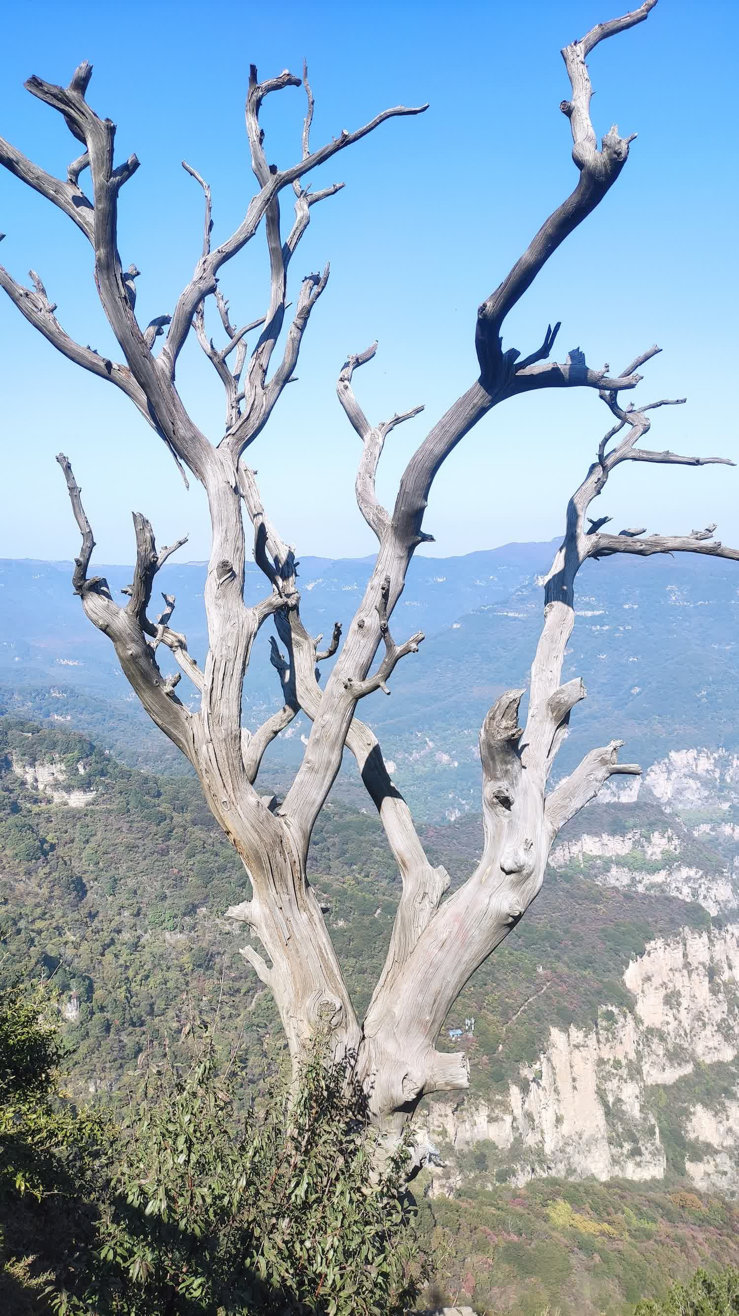 神农山风景区旅行图片 3