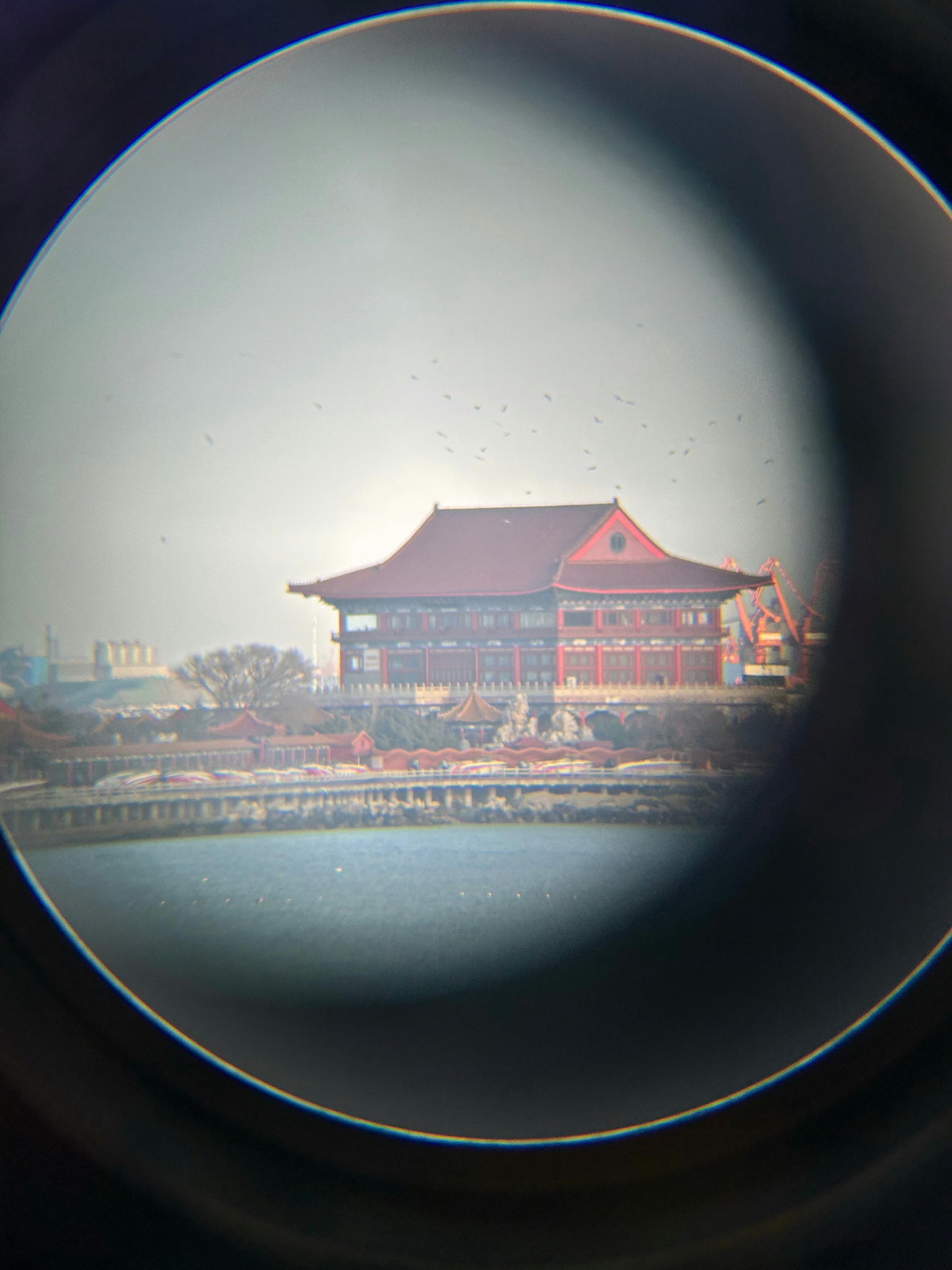 蓬莱沙滩旅行图片 2
