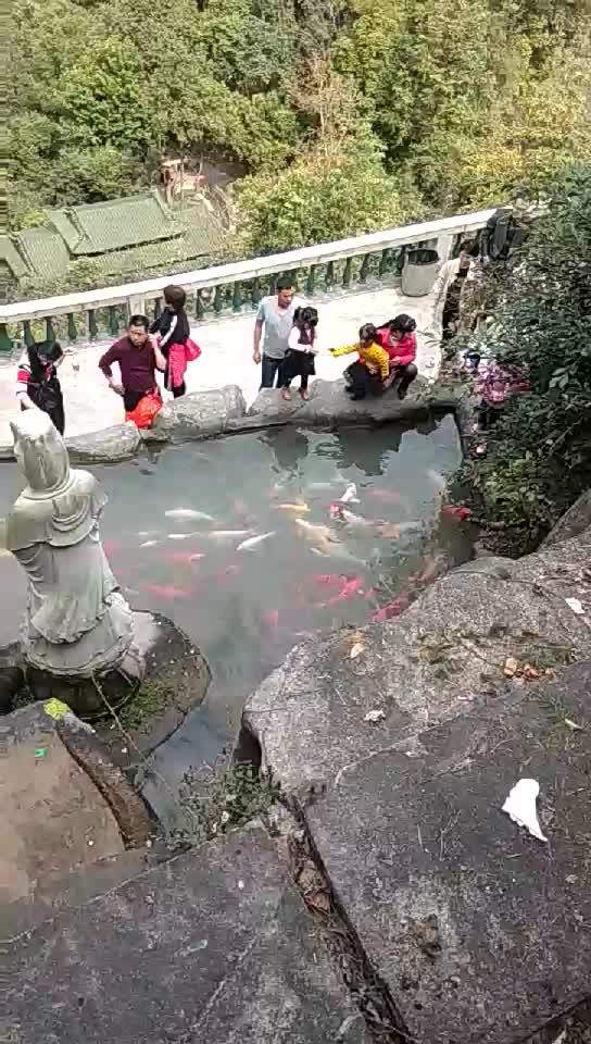 中川古村落风景区旅行图片 3