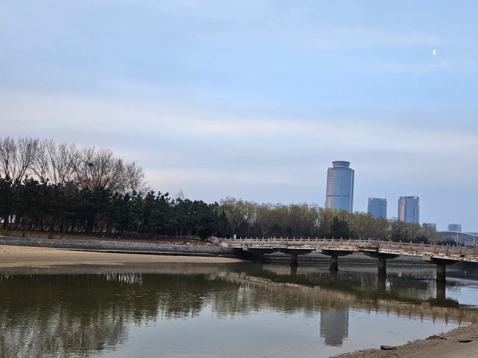 烟大海滨公园旅行图片 3