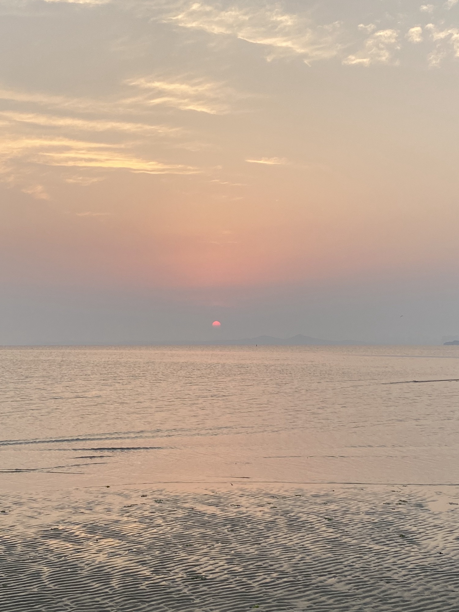 烟大海滨公园旅行图片 1