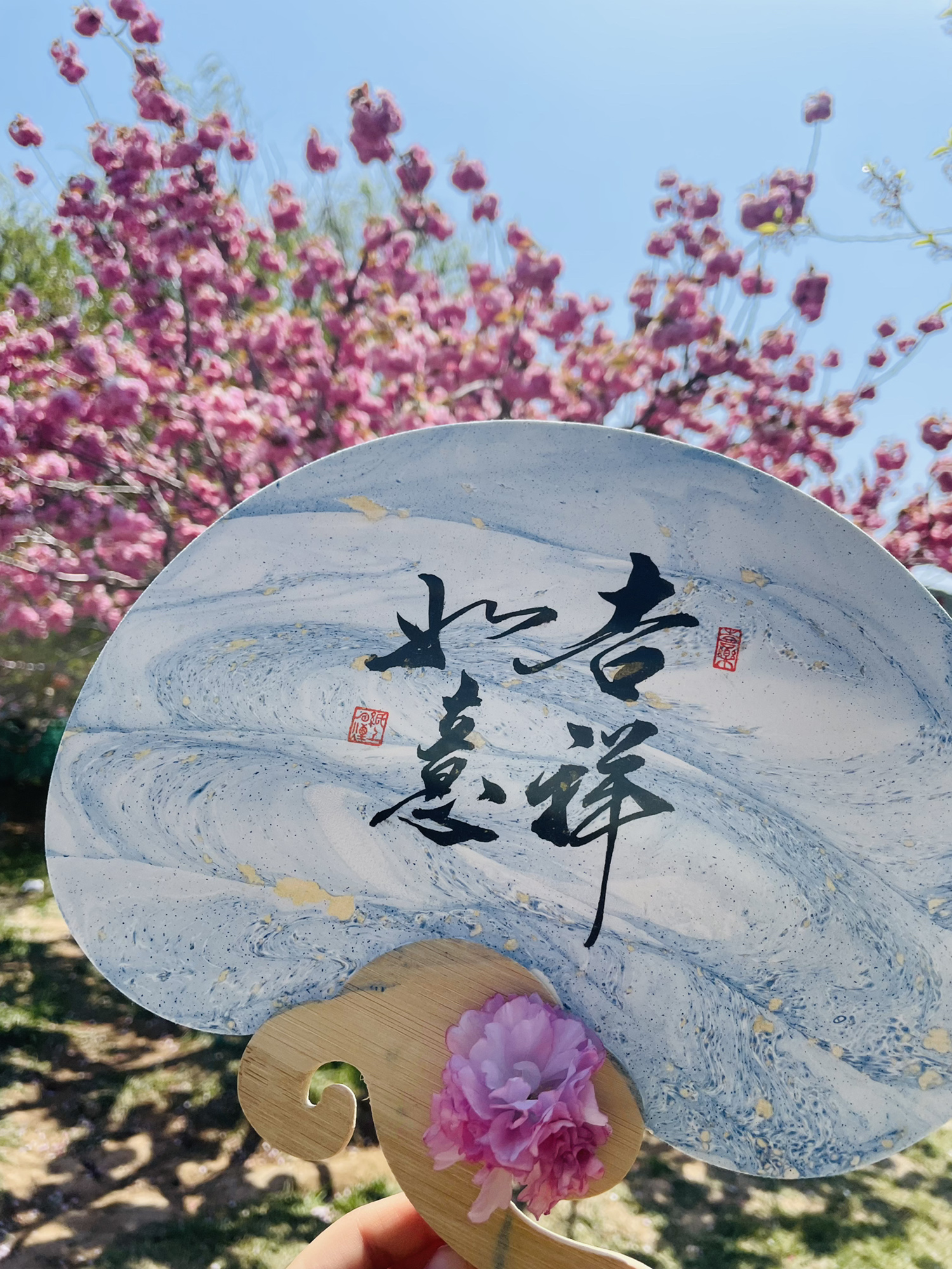 龙王塘樱花园旅行图片 1
