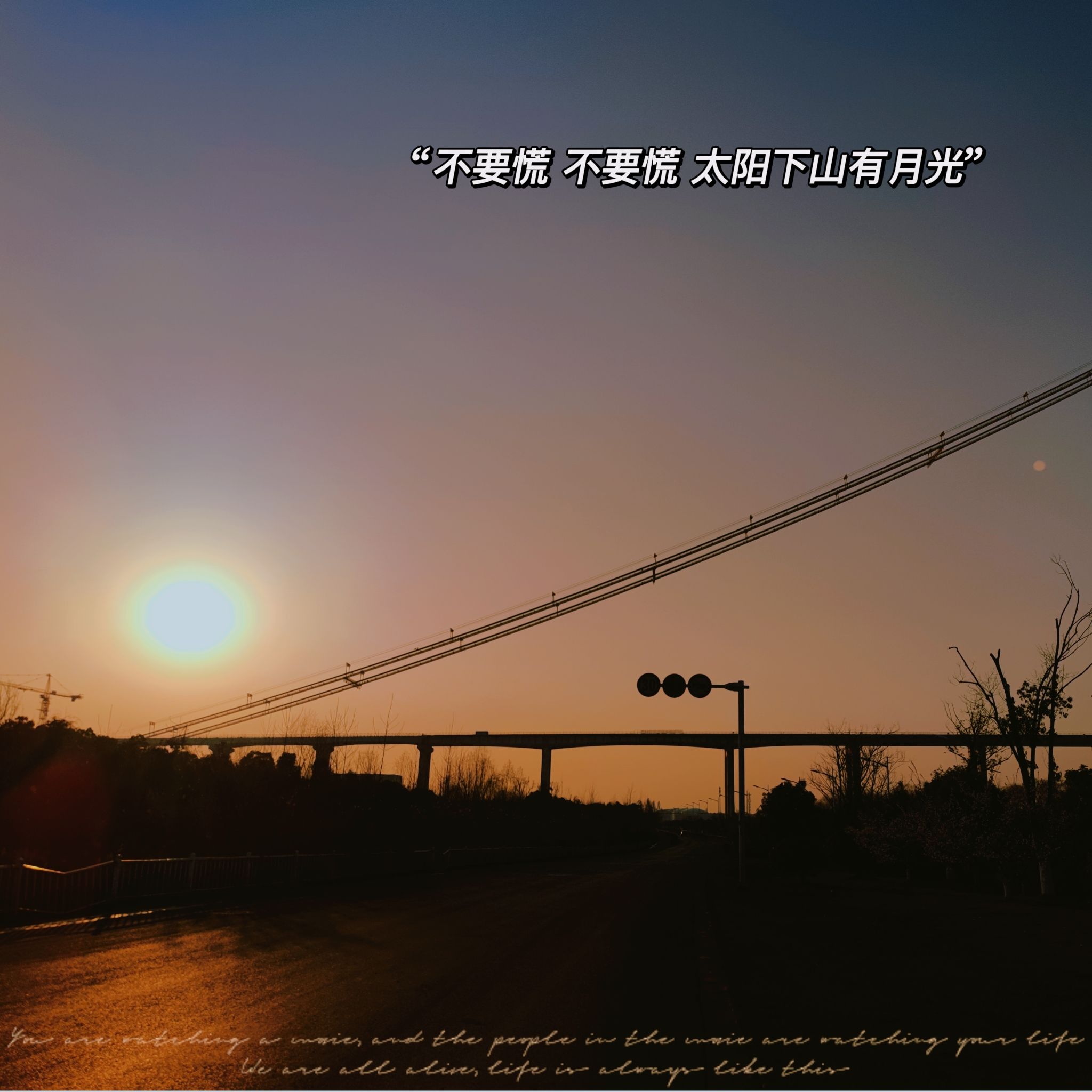 小漓江生态湿地旅行图片 1
