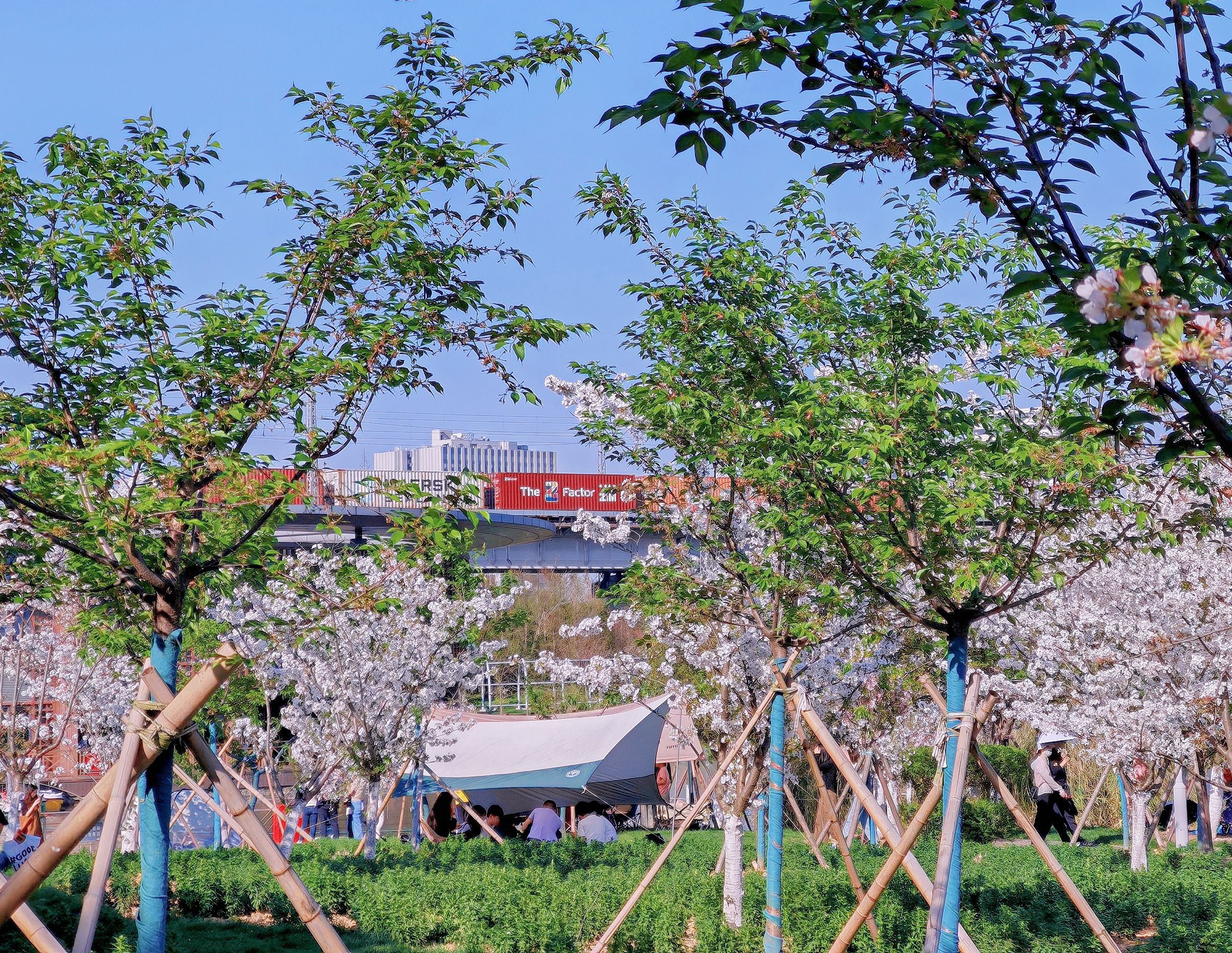 宁波植物园旅行图片 3