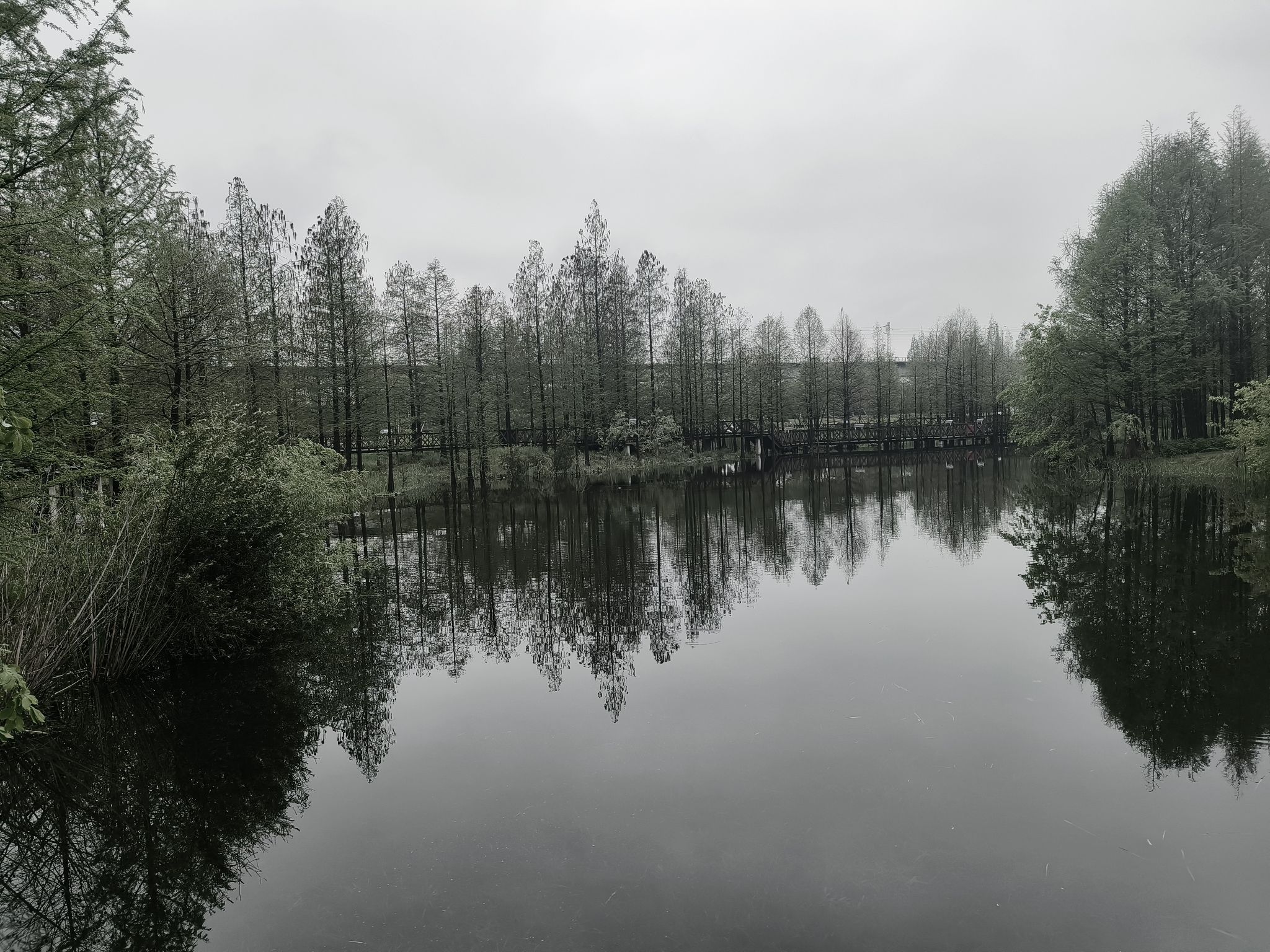 宁波植物园旅行图片 1