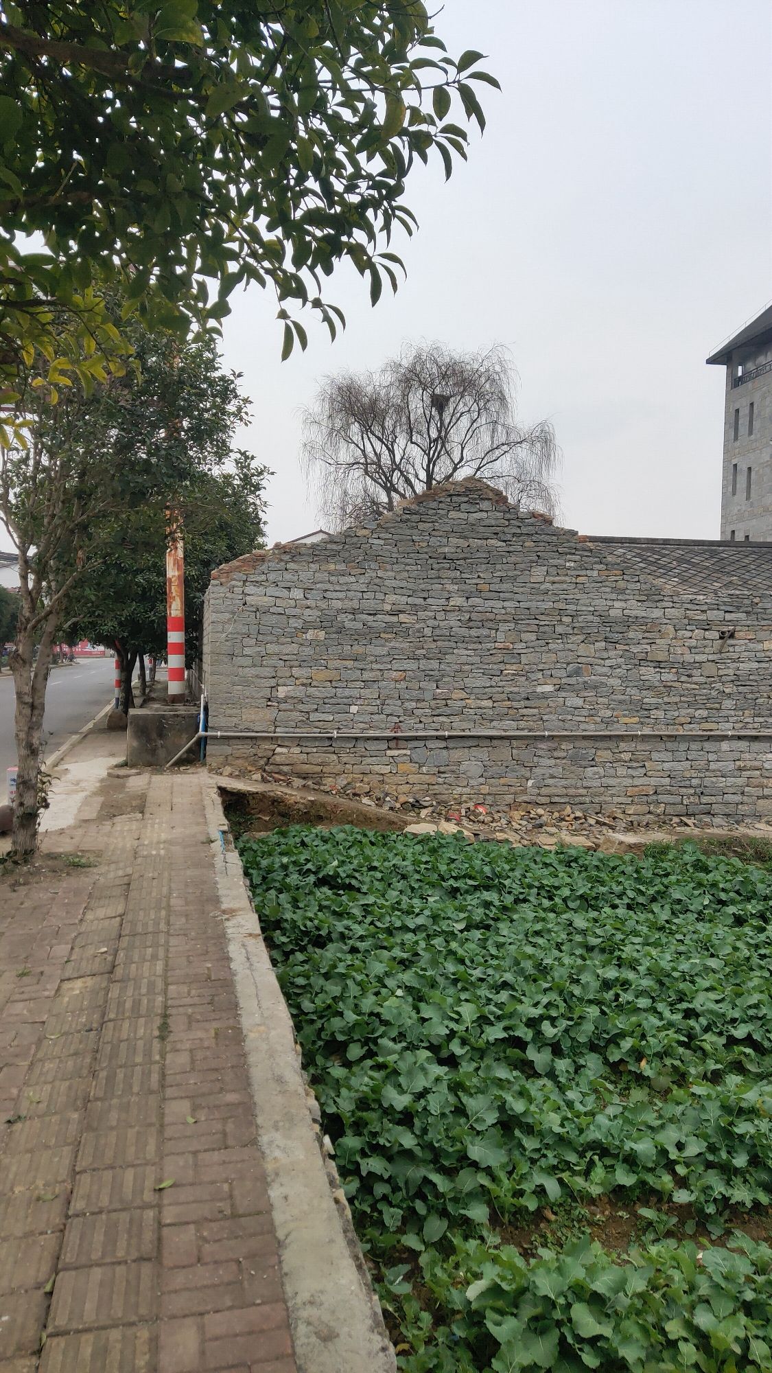 云峰八寨旅行图片 3