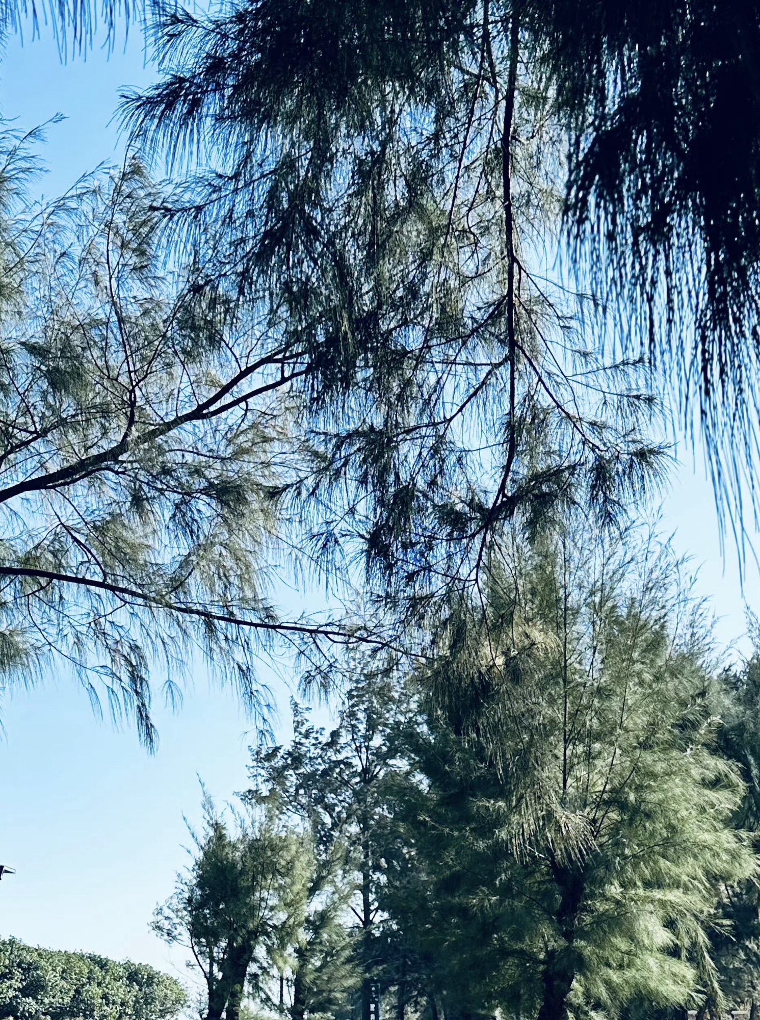 六鳌翡翠湾景区旅行图片 1