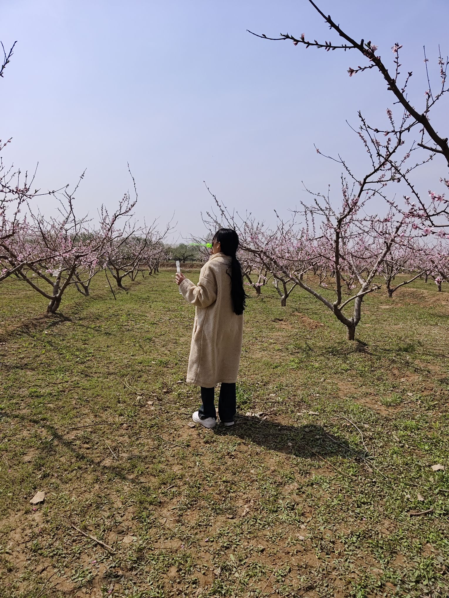 墨池礼贤台旅行图片 3