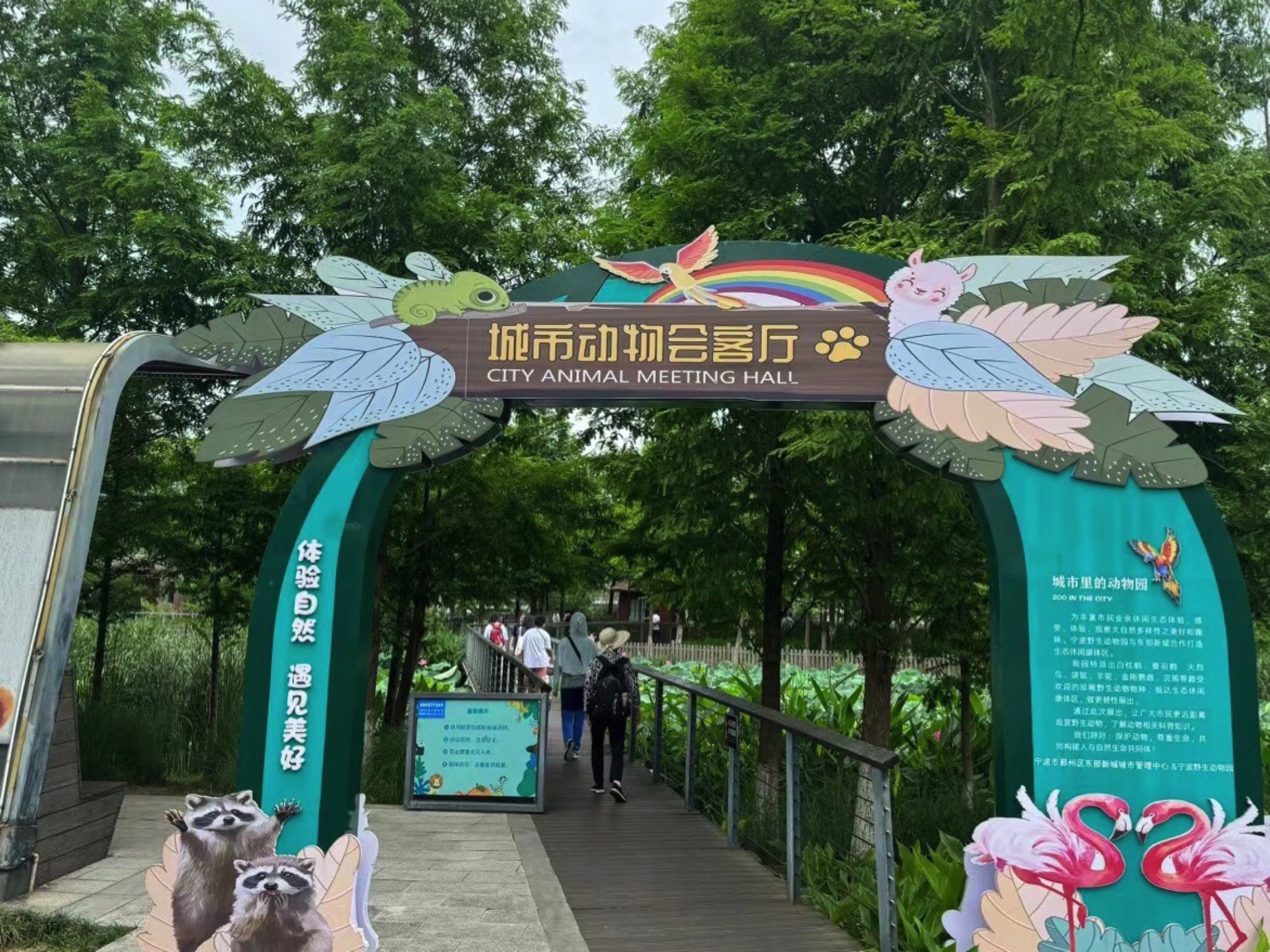 生态走廊旅行图片 3