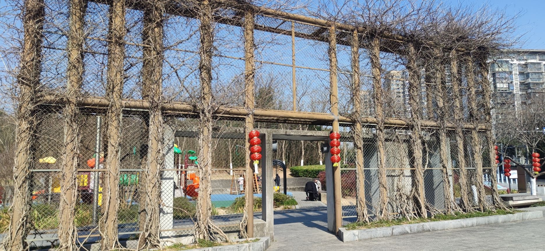 生态走廊旅行图片 1