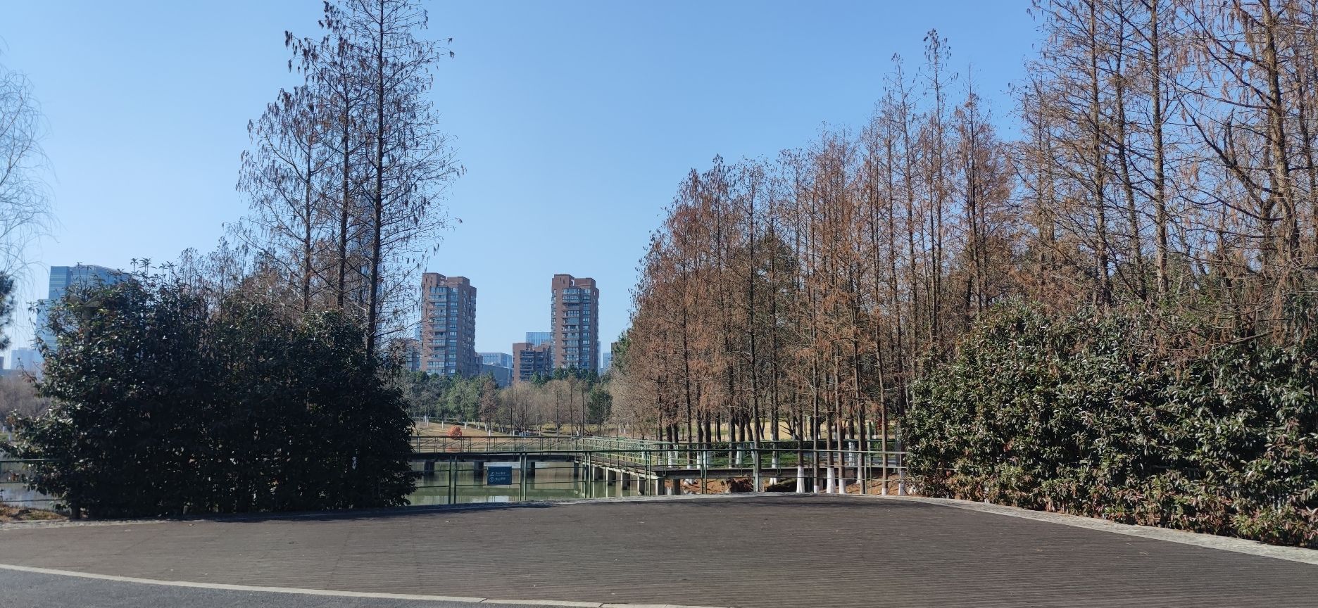 生态走廊旅行图片 2