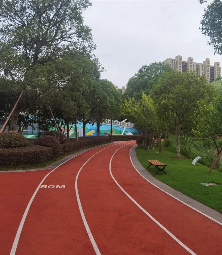 镇海绿轴体育公园旅行图片 1