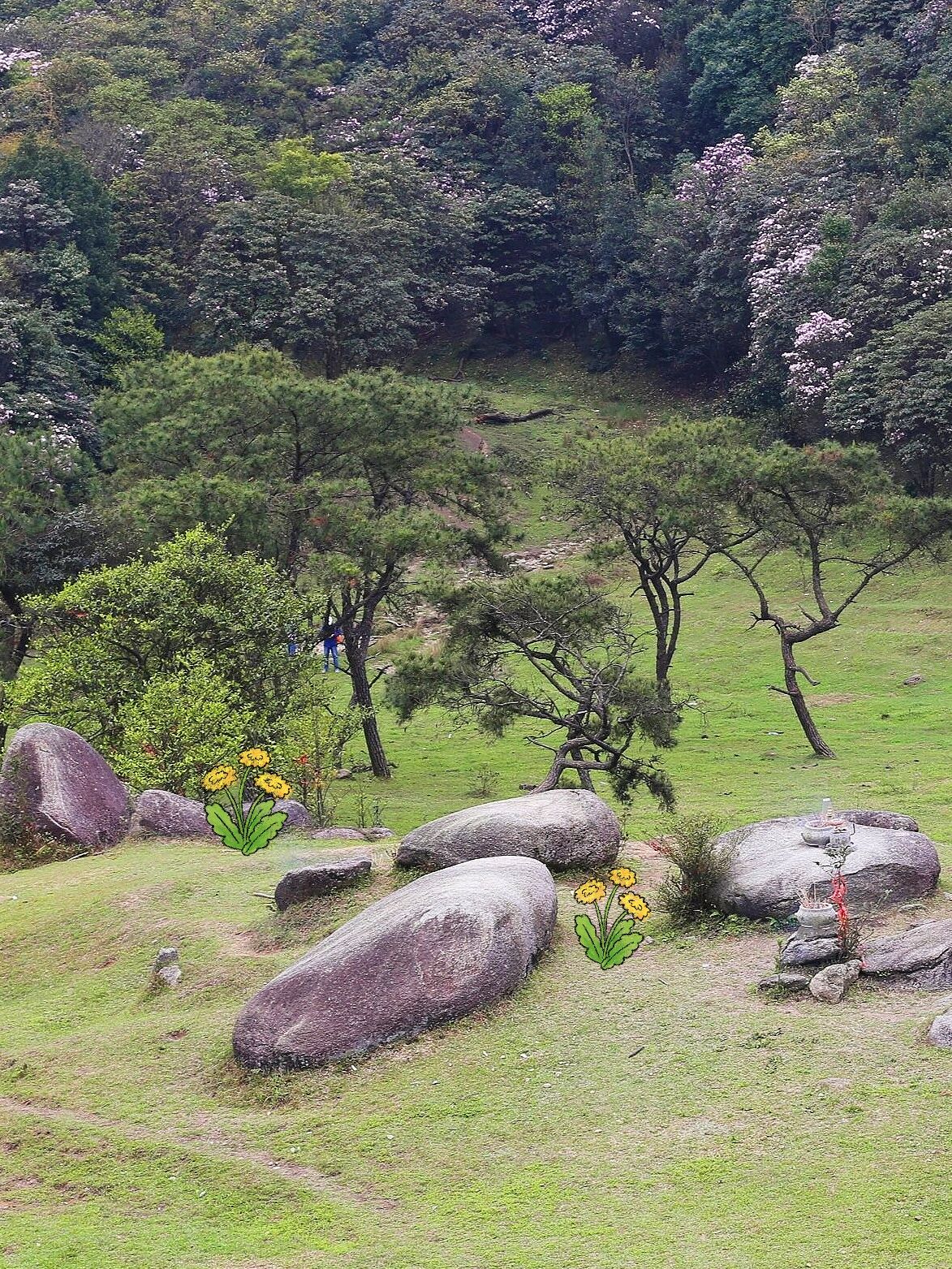 八排山旅行图片 2