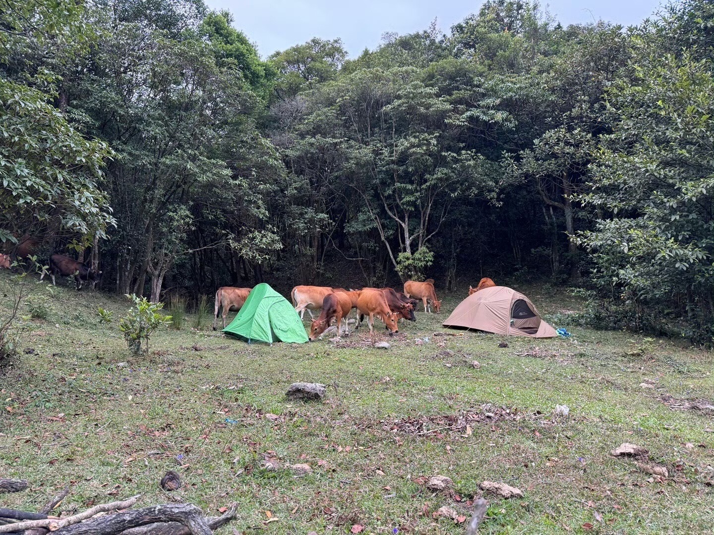 八排山旅行图片 2