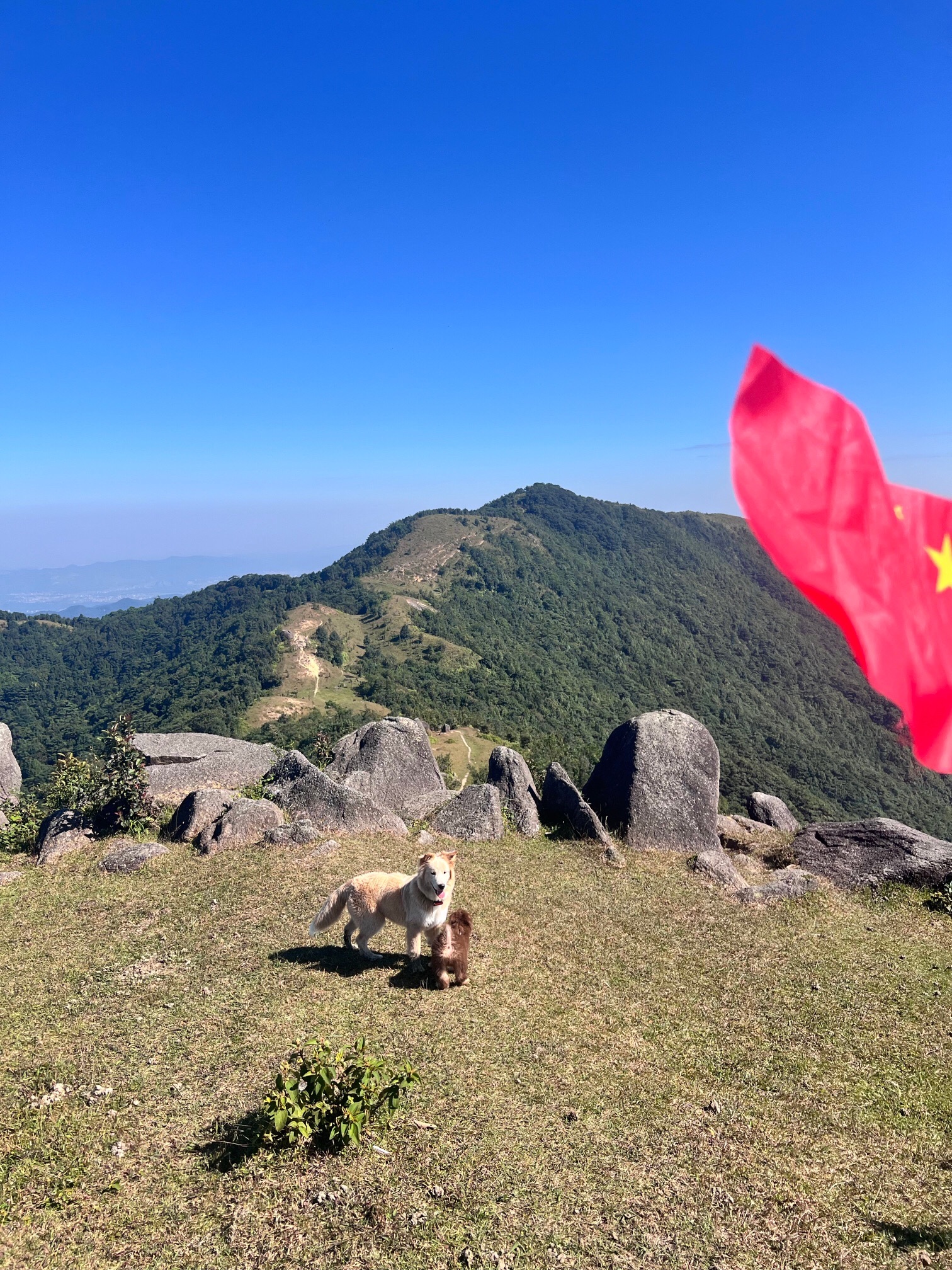 八排山旅行图片 3