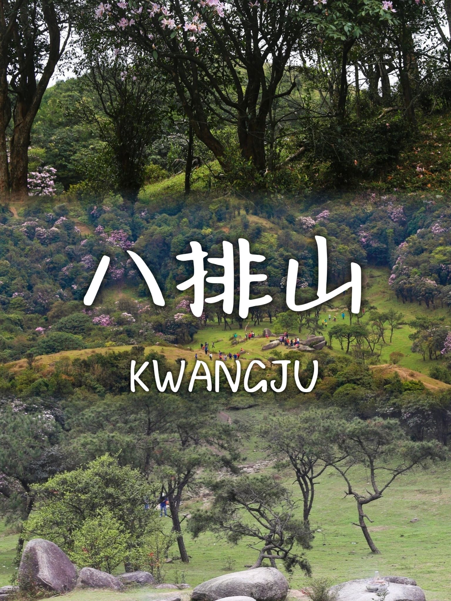 八排山旅行图片 1