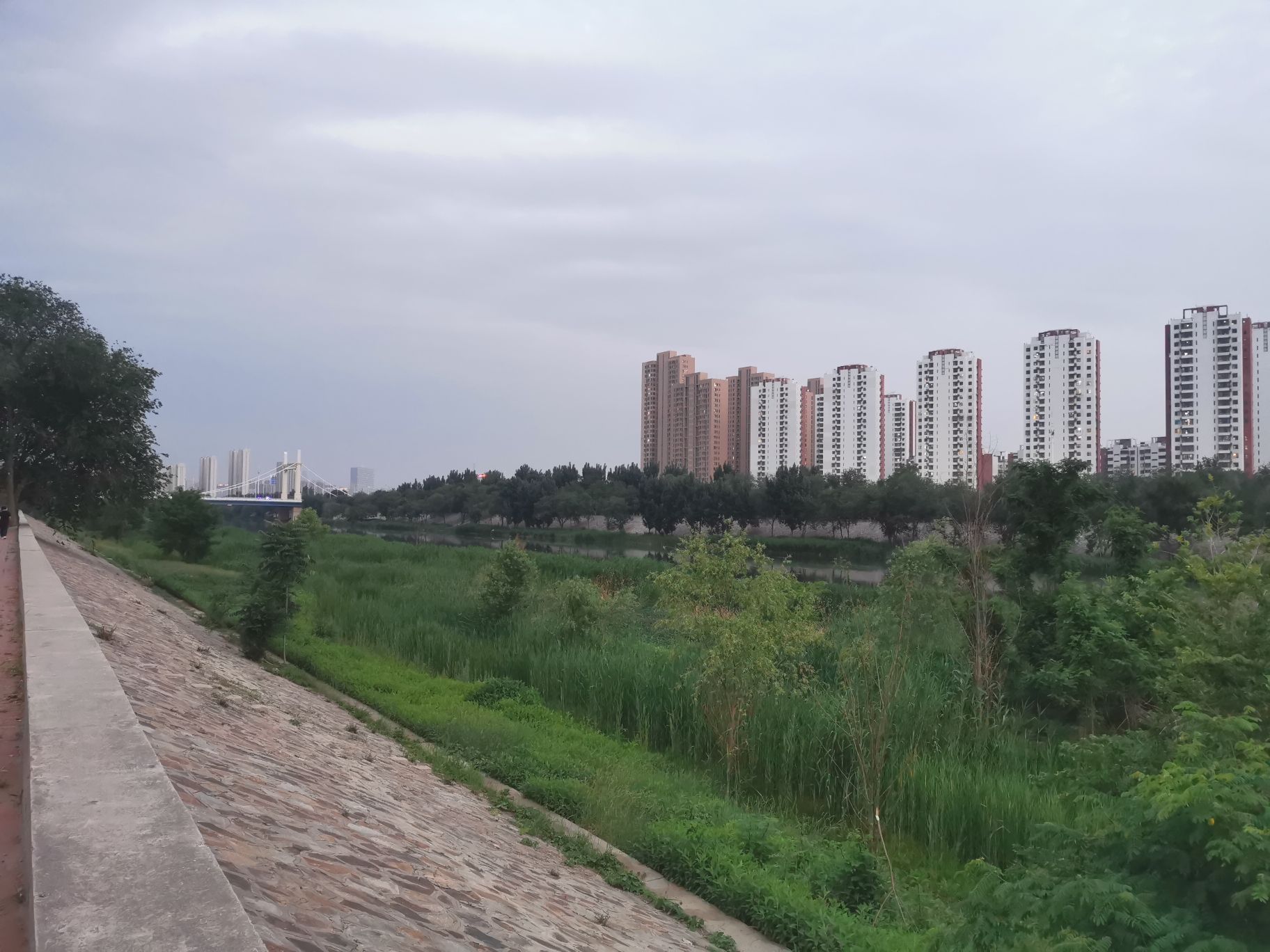 子牙河堤岸公园旅行图片